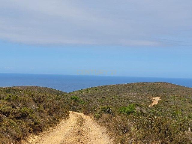 Herdade com 700 hectares para venda! - Image 19