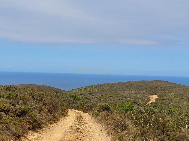 Herdade com 700 hectares para venda! - Image 19