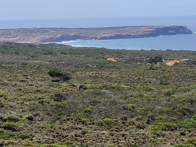 Herdade com 700 hectares para venda! - Image 11