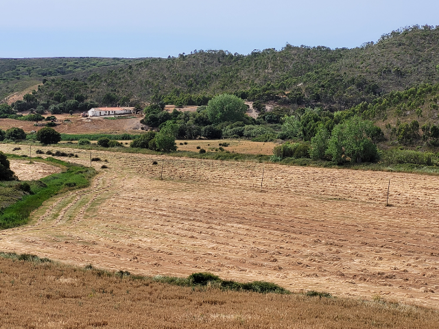 Herdade com 700 hectares para venda! - Image 3