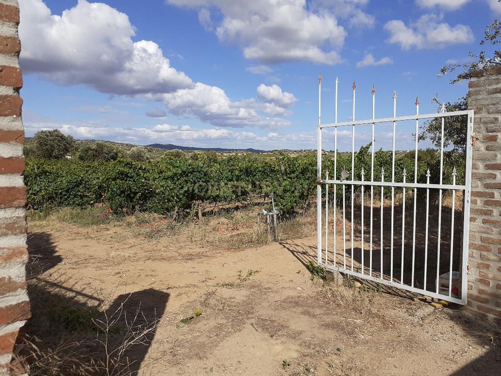 Quinta dos Capuchos, em Vila de Frades - Image 2