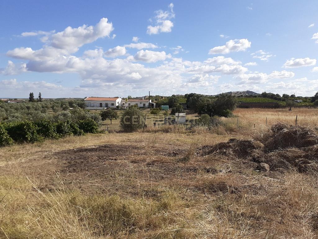 Quinta dos Capuchos, em Vila de Frades - Image 4