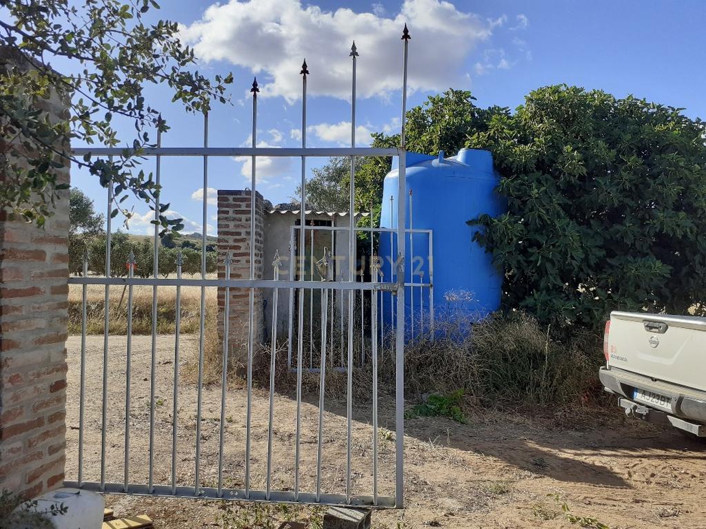 Quinta dos Capuchos, em Vila de Frades - Image 3