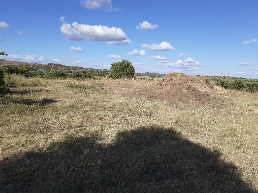 Quinta dos Capuchos, em Vila de Frades - Image 9