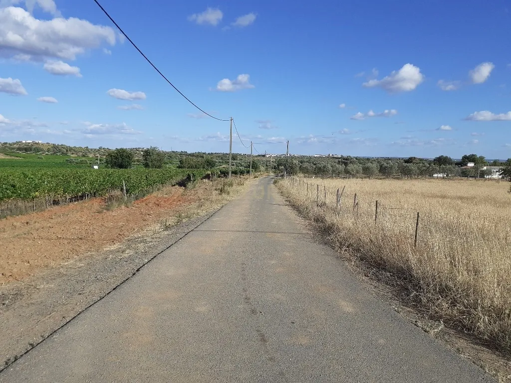 Quinta dos Capuchos, em Vila de Frades - Image 26