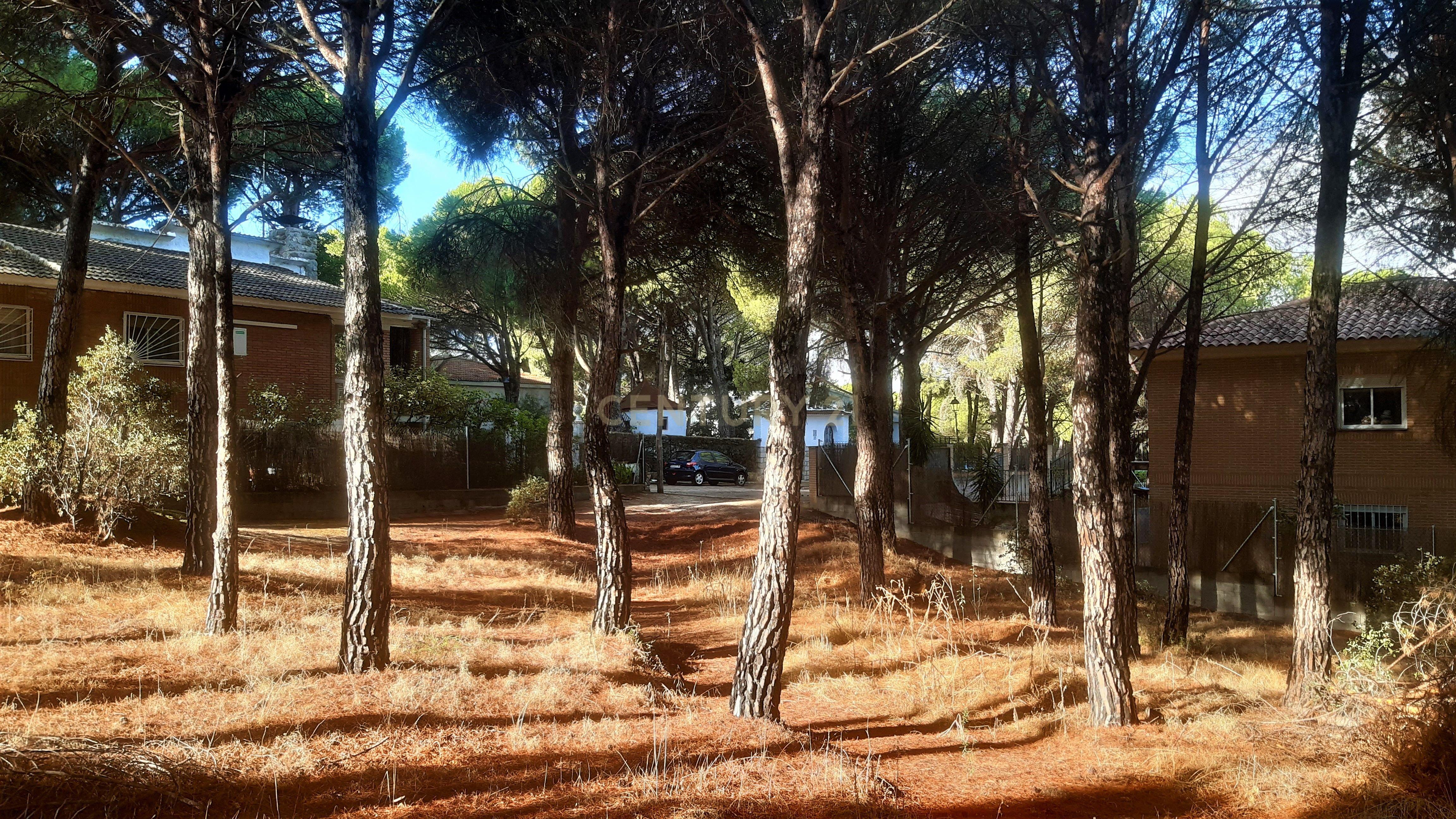 undefined - Image 3
