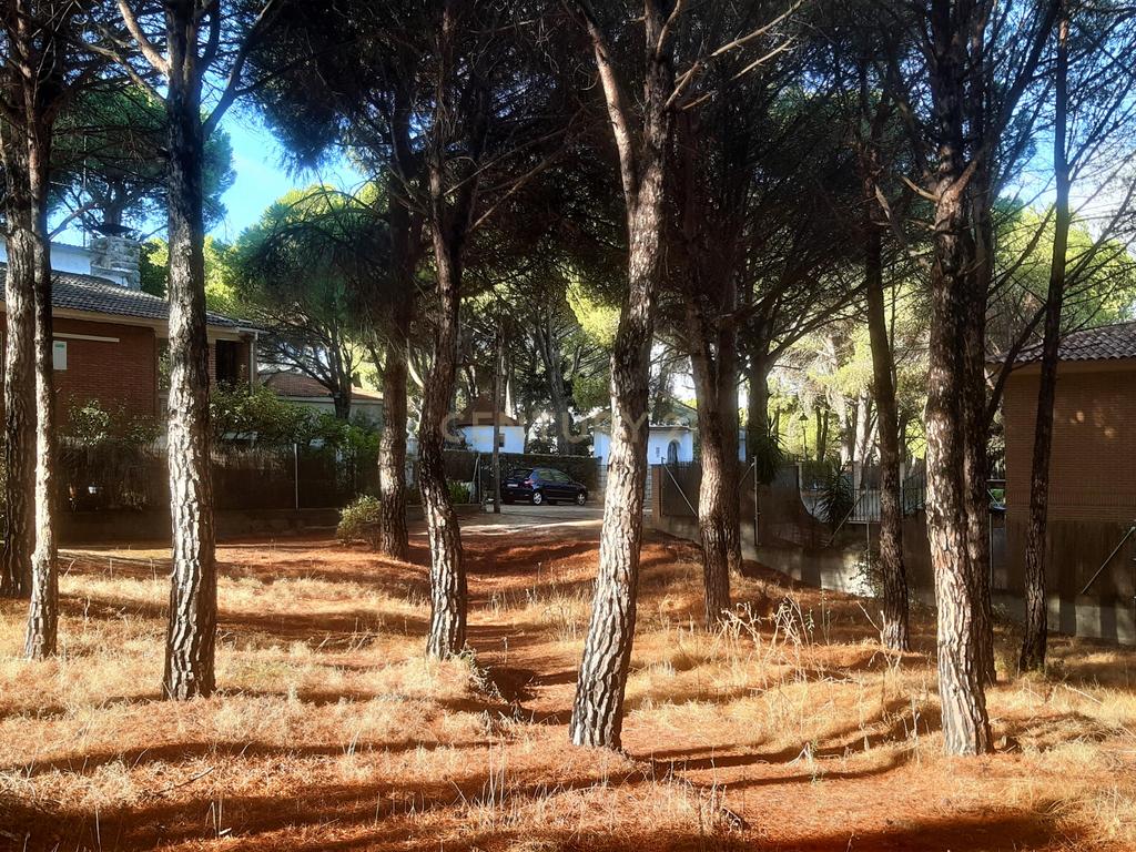 undefined - Image 3
