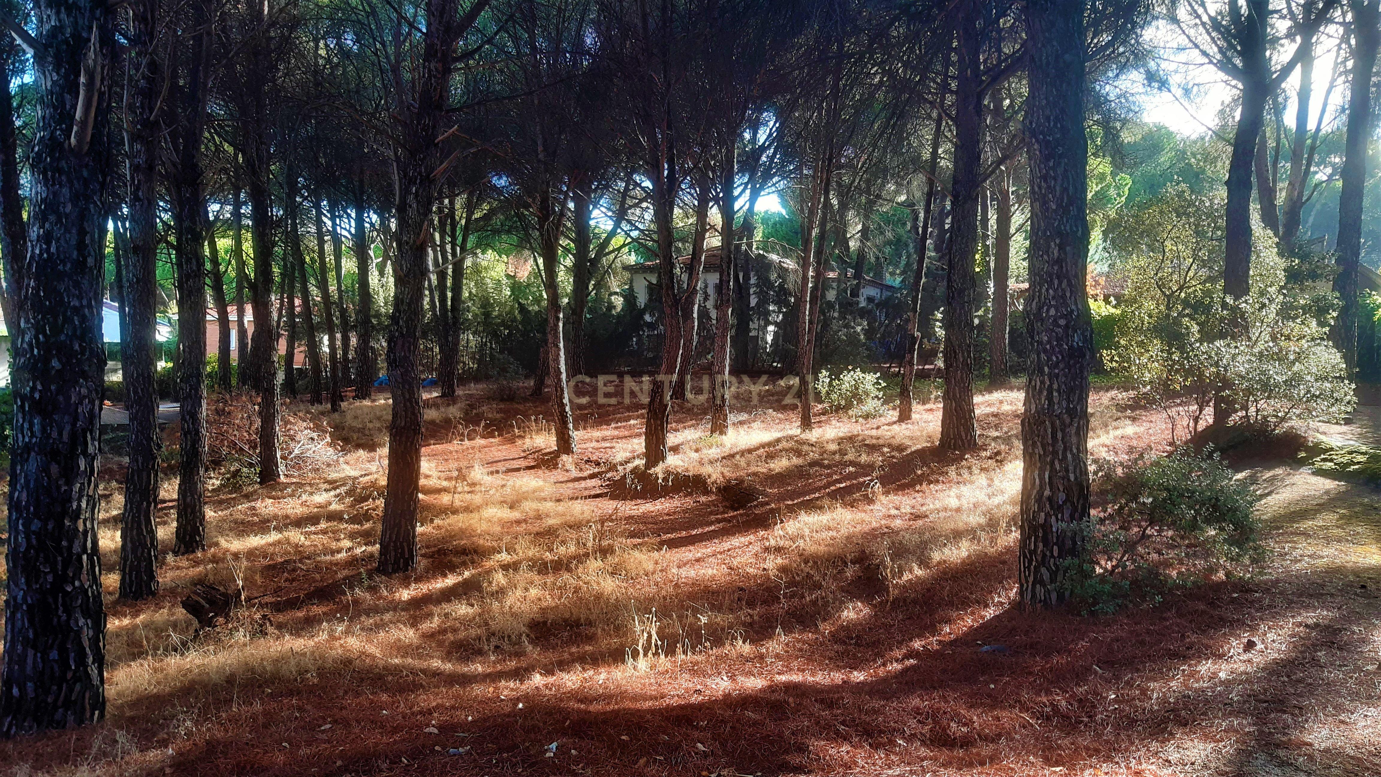 undefined - Image 4