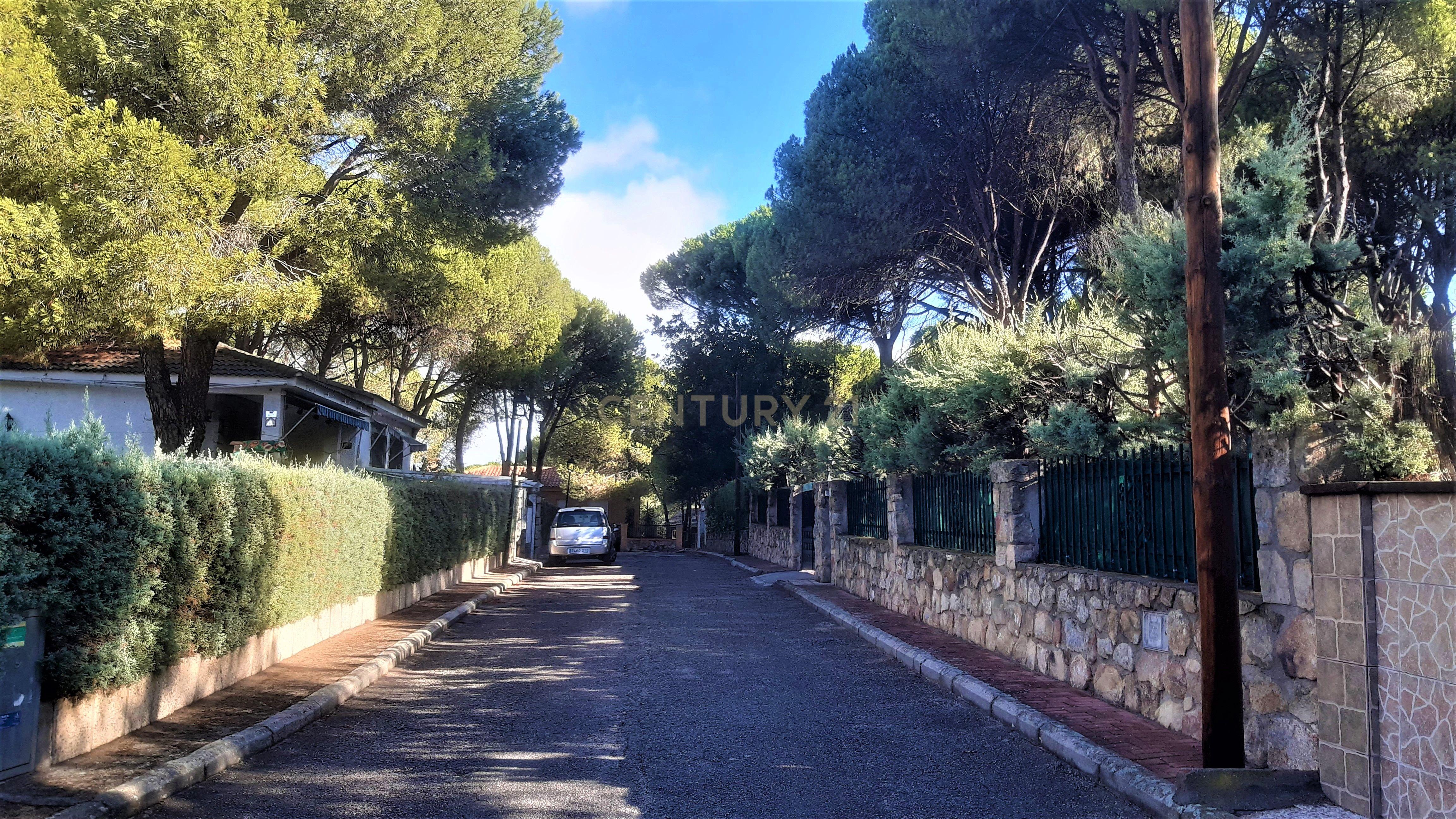 undefined - Image 6