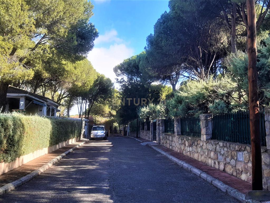 undefined - Image 6
