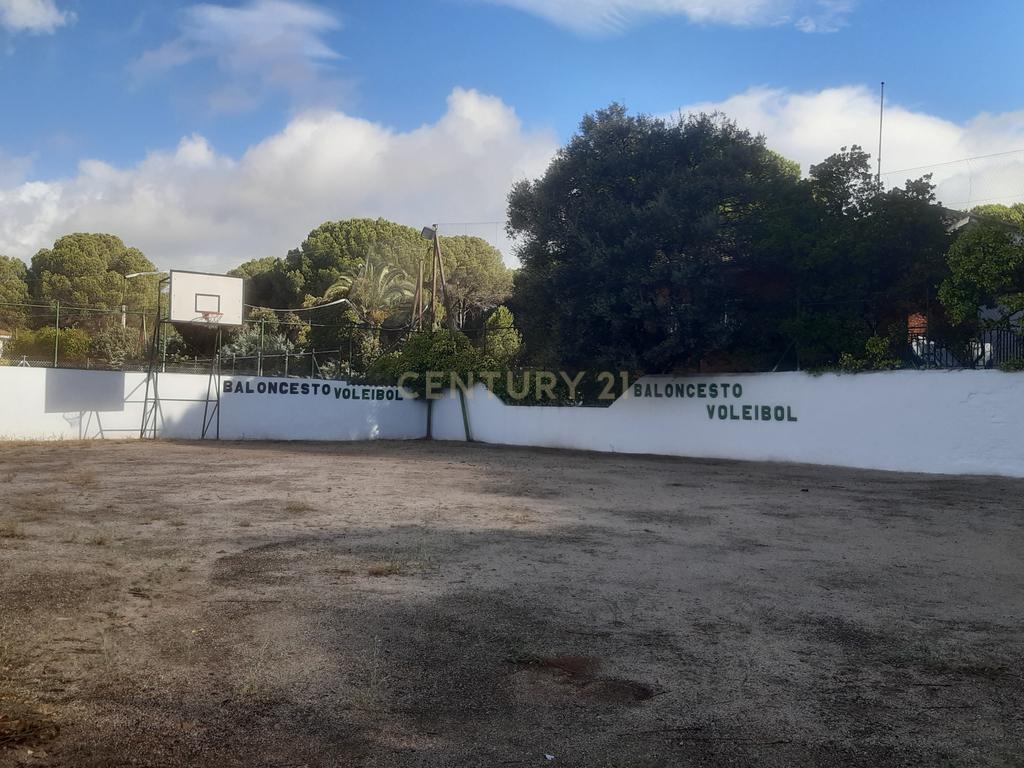 undefined - Image 10