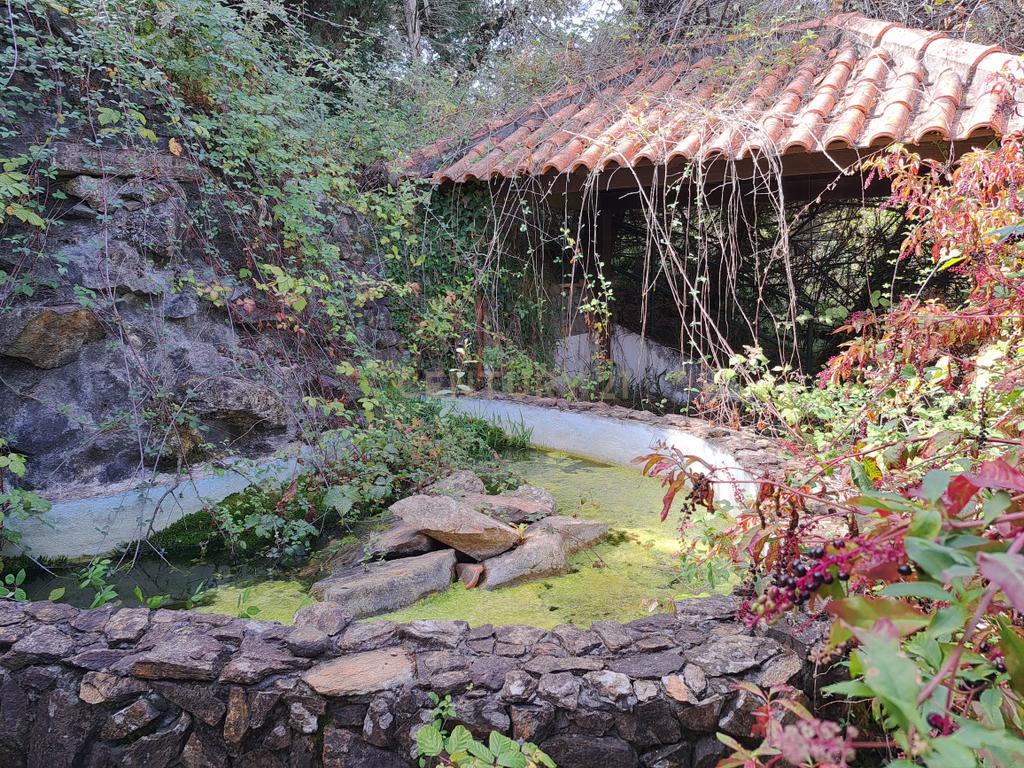 QUINTA EM MARCO DE CANAVESES - Image 22