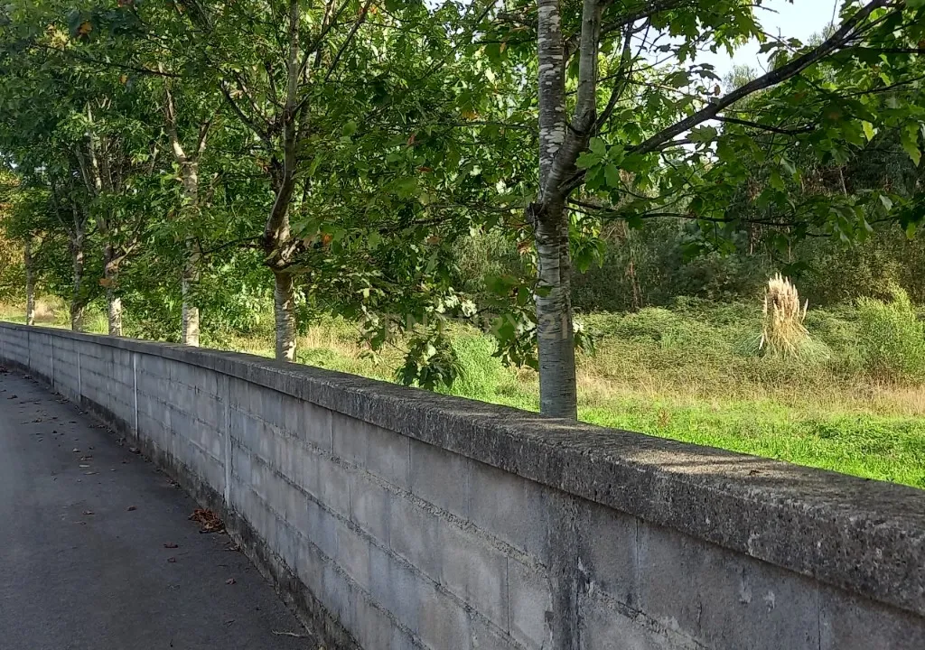 Terreno com 23.000 m2 em Igreja Nova - Barcelos - Image 6
