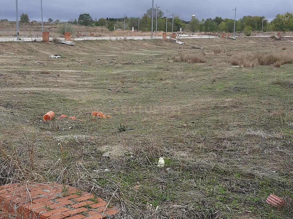 Terreno - Image 6