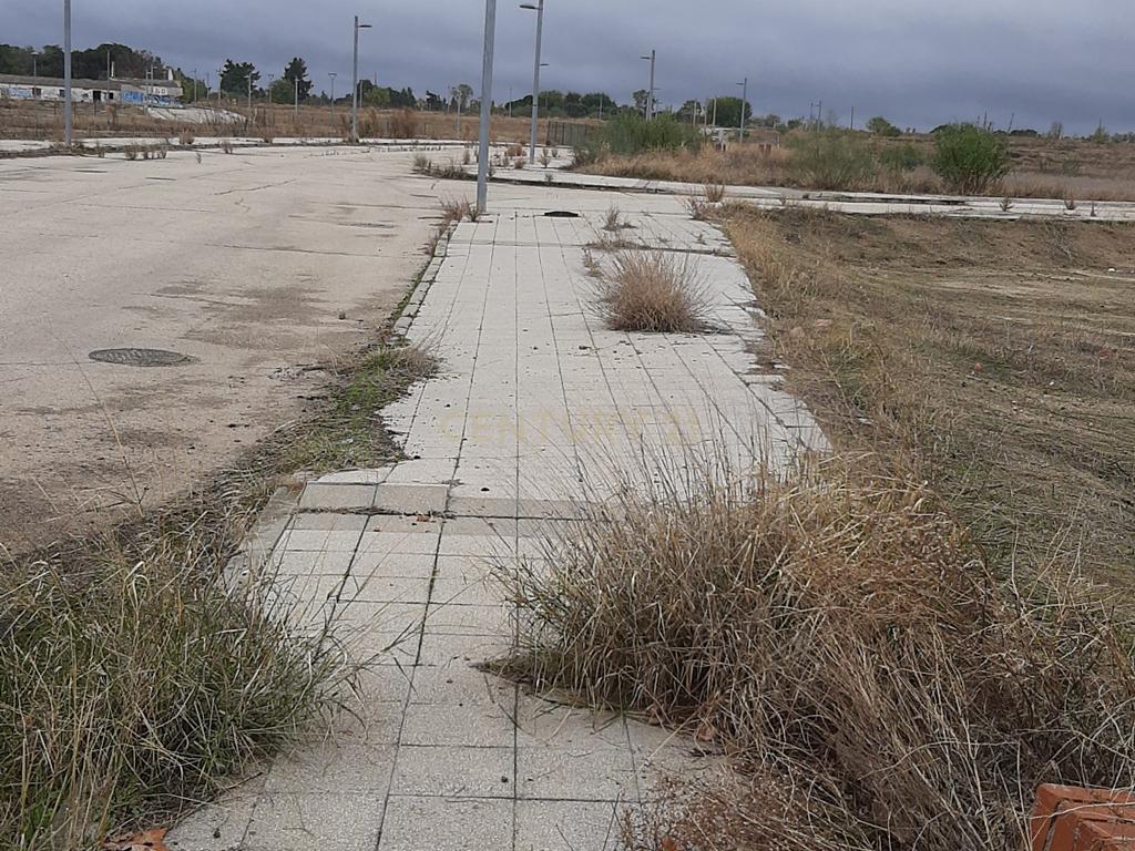 Terreno - Image 4