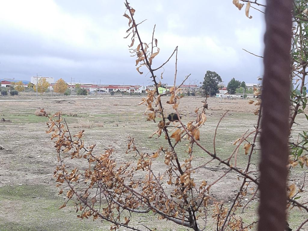 Terreno - Image 8
