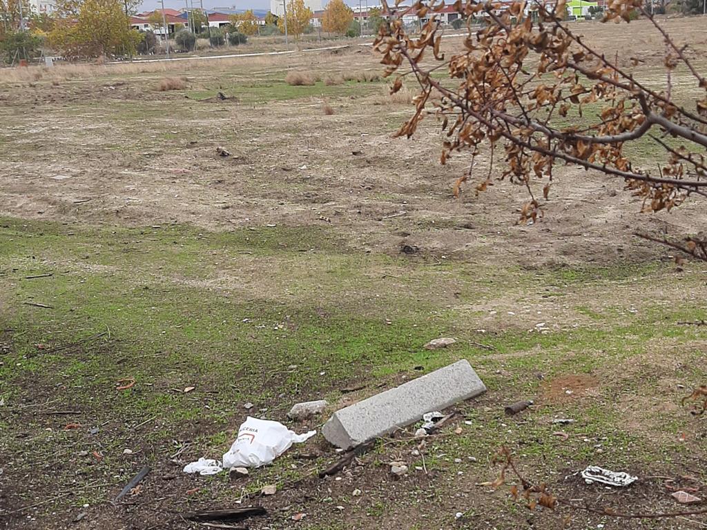 Terreno - Image 9