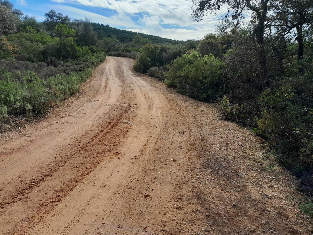 Terreno de 2HA com ruína em Vale da Boa Hora, Parragil (Loulé e Boliqueime) - Image 3