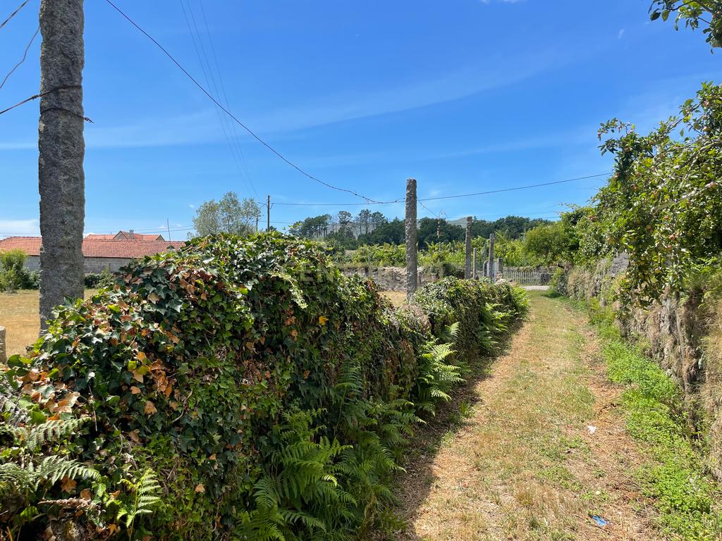 Moradia de 220 metros quadrados, construída em granito, a precisar de renovação, situada no centro de Santa Cruz da Trapa, com um terreno de 1.900 metros quadrados. - Image 9