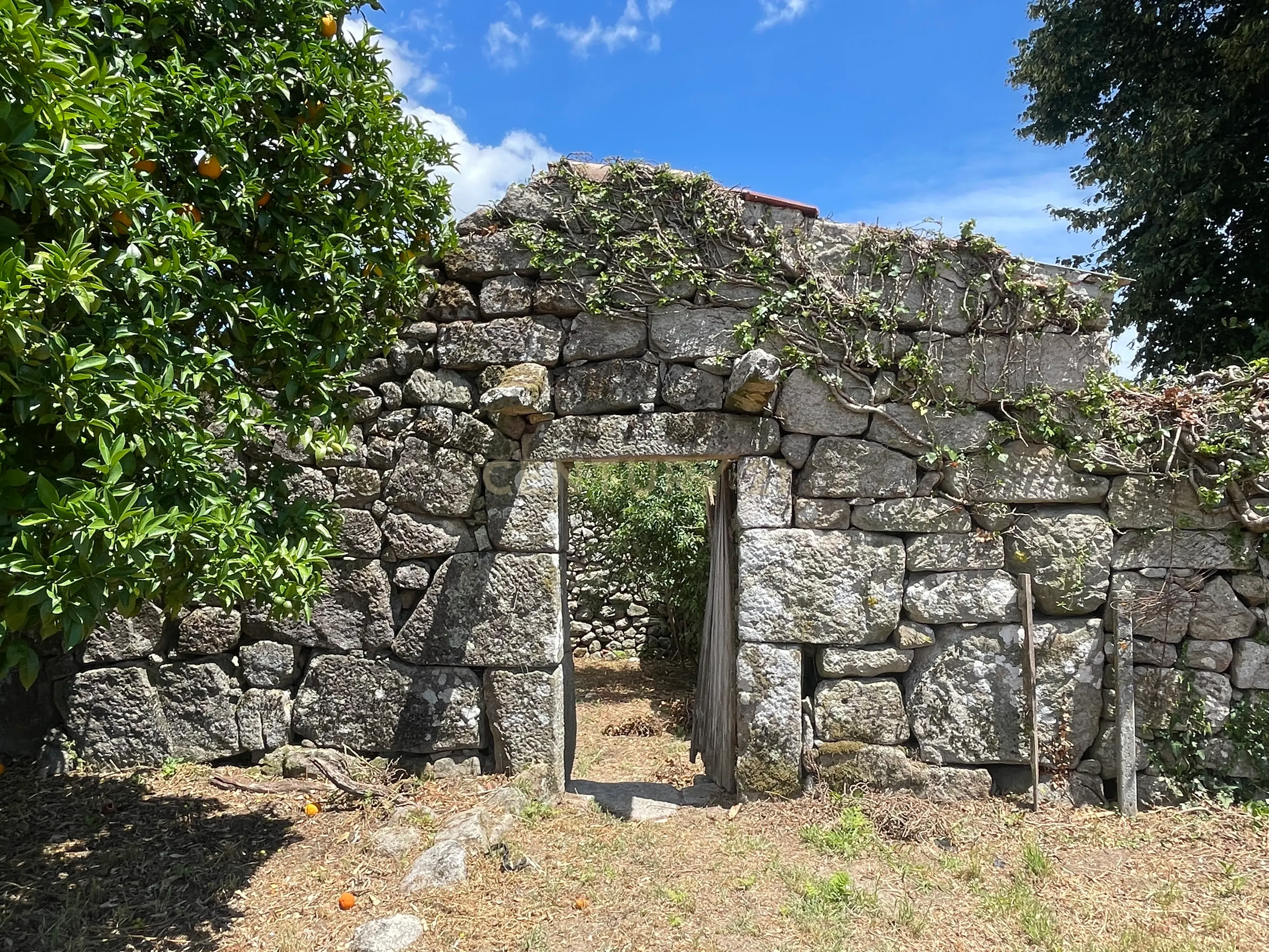Moradia de 220 metros quadrados, construída em granito, a precisar de renovação, situada no centro de Santa Cruz da Trapa, com um terreno de 1.900 metros quadrados. - Image 12