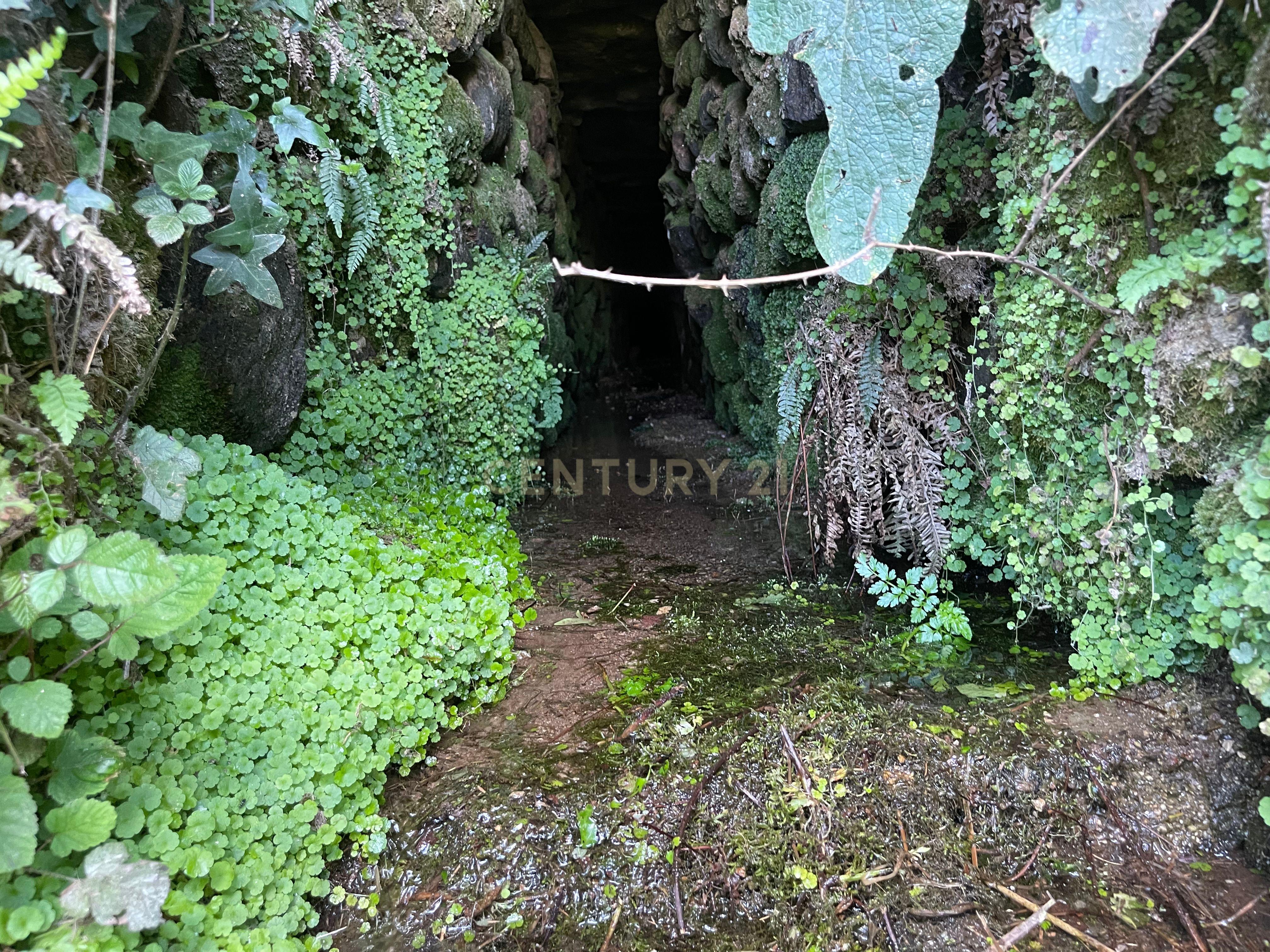 Moradia de 220 metros quadrados, construída em granito, a precisar de renovação, situada no centro de Santa Cruz da Trapa, com um terreno de 1.900 metros quadrados. - Image 40