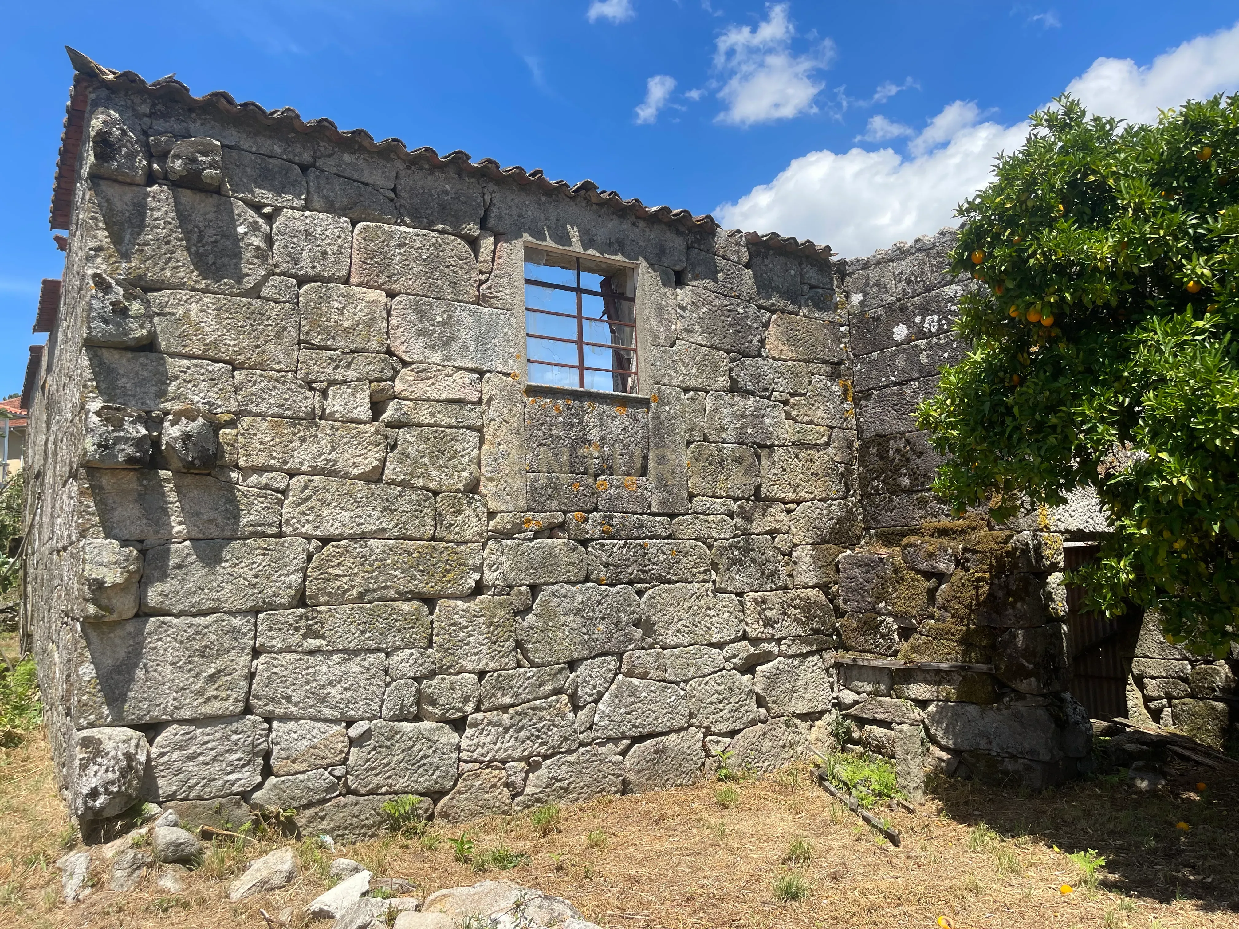 Moradia de 220 metros quadrados, construída em granito, a precisar de renovação, situada no centro de Santa Cruz da Trapa, com um terreno de 1.900 metros quadrados. - Image 46