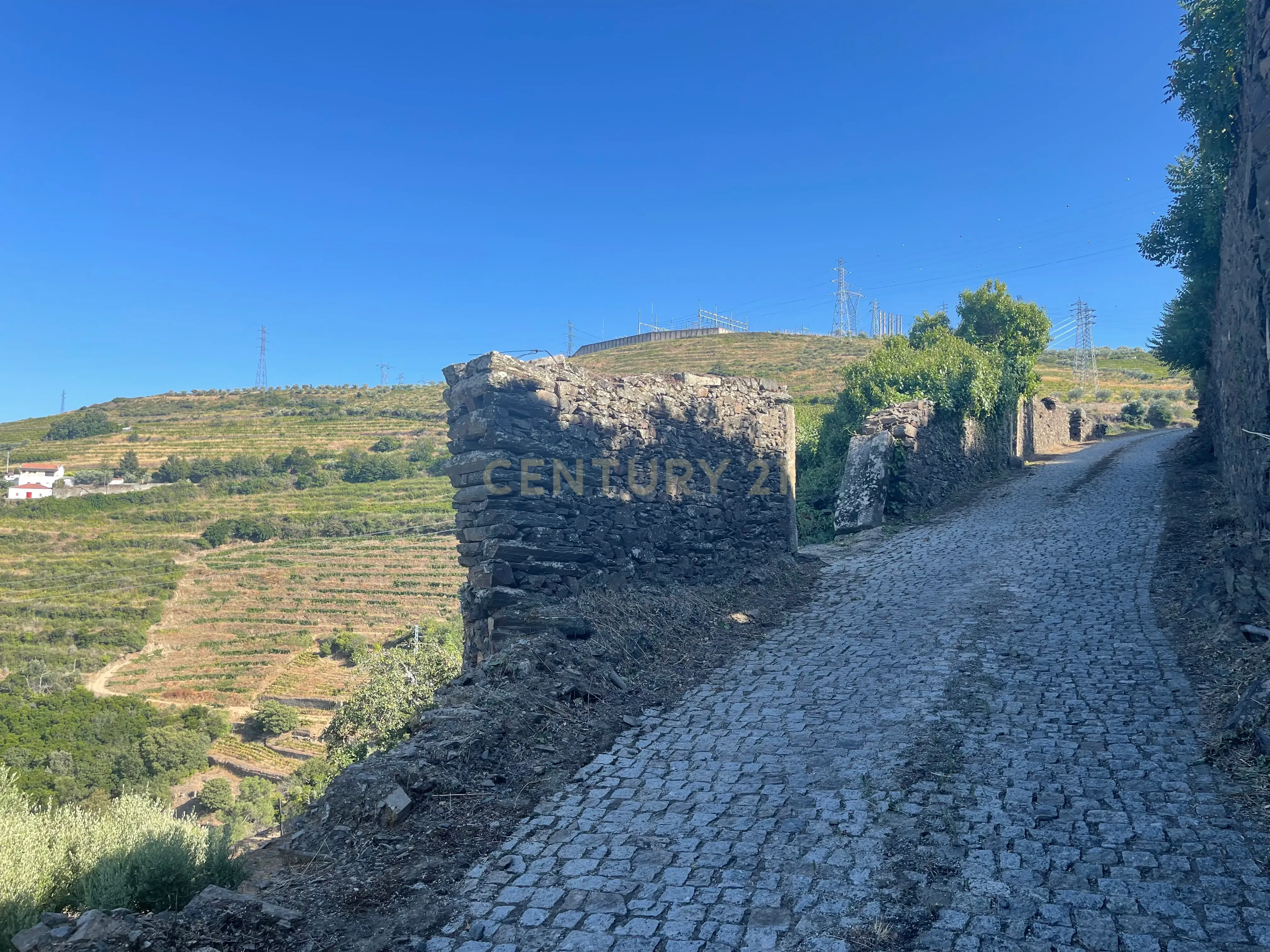 Terreno em Valdigem, com uma área total de 3.350m², oferece vistas panorâmicas sobre o Rio Douro. Tem licença para a construção de uma casa com seis quartos (T6), além de uma vasta área de terreno com vinhas antigas de categoria A. - Image 6
