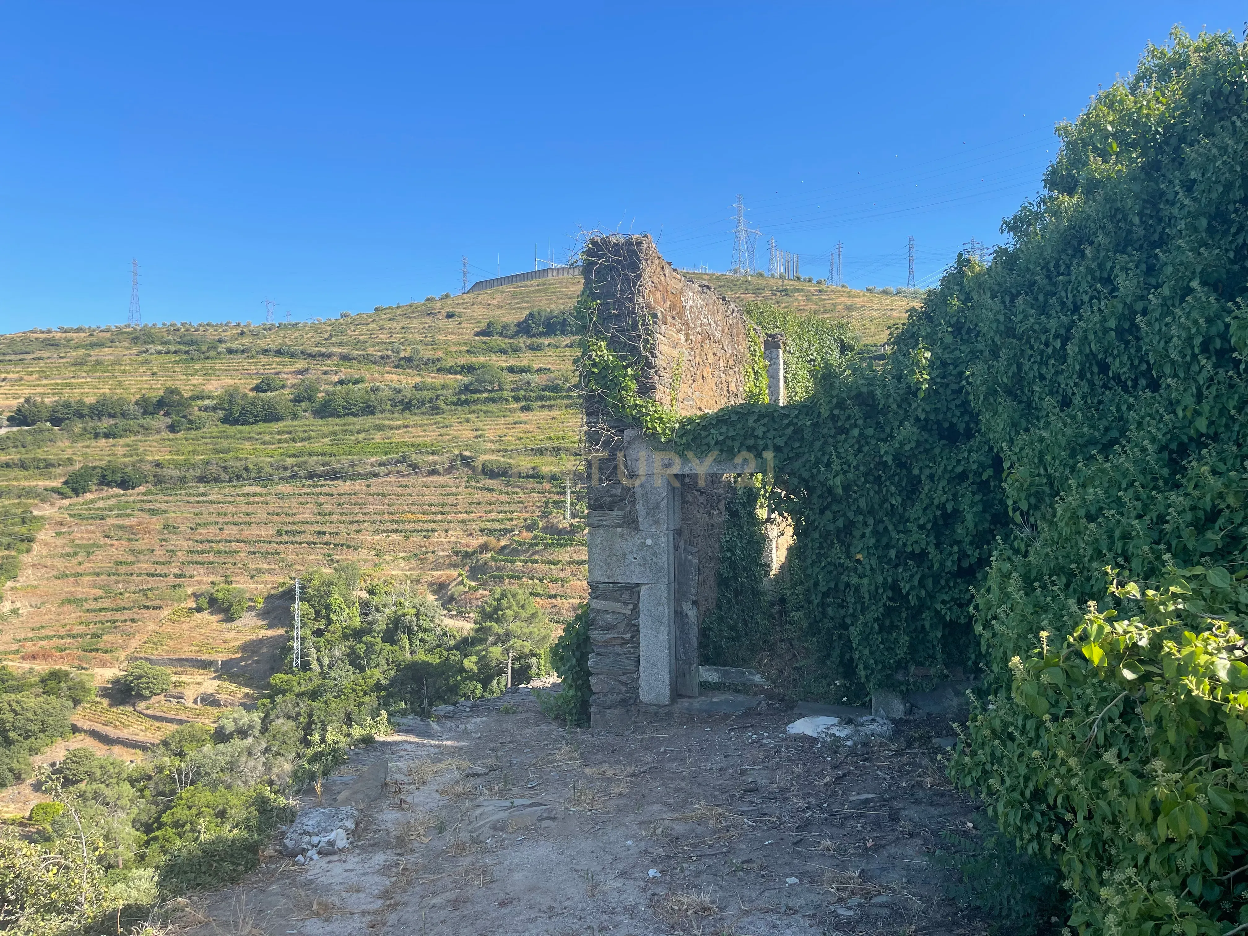 Terreno em Valdigem, com uma área total de 3.350m², oferece vistas panorâmicas sobre o Rio Douro. Tem licença para a construção de uma casa com seis quartos (T6), além de uma vasta área de terreno com vinhas antigas de categoria A. - Image 10