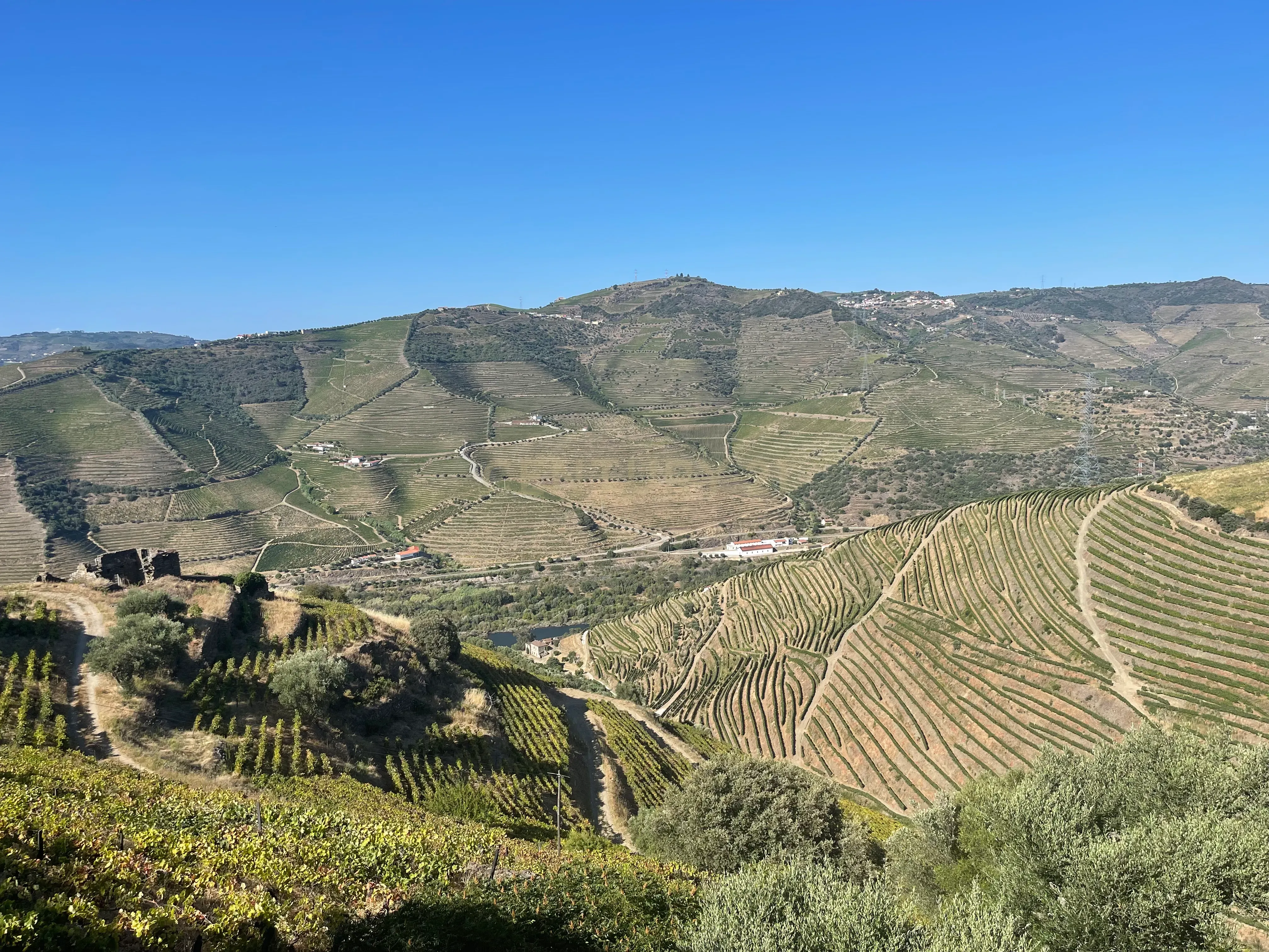 Terreno em Valdigem, com uma área total de 3.350m², oferece vistas panorâmicas sobre o Rio Douro. Tem licença para a construção de uma casa com seis quartos (T6), além de uma vasta área de terreno com vinhas antigas de categoria A. - Image 5
