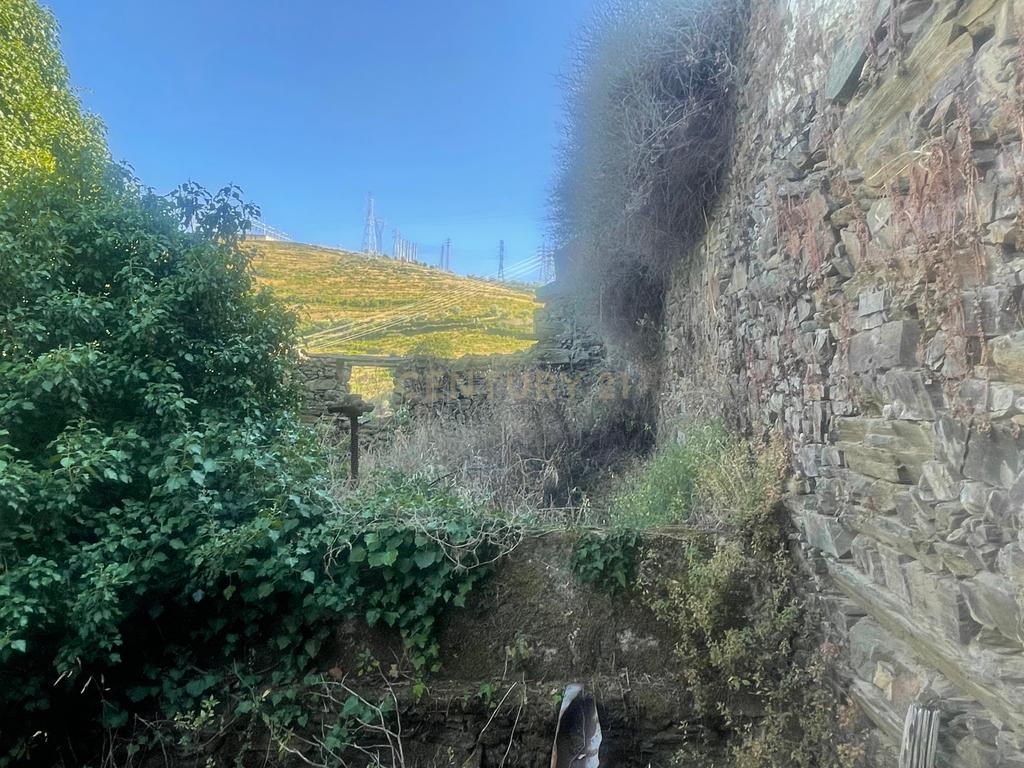 Terreno em Valdigem, com uma área total de 3.350m², oferece vistas panorâmicas sobre o Rio Douro. Tem licença para a construção de uma casa com seis quartos (T6), além de uma vasta área de terreno com vinhas antigas de categoria A. - Image 7