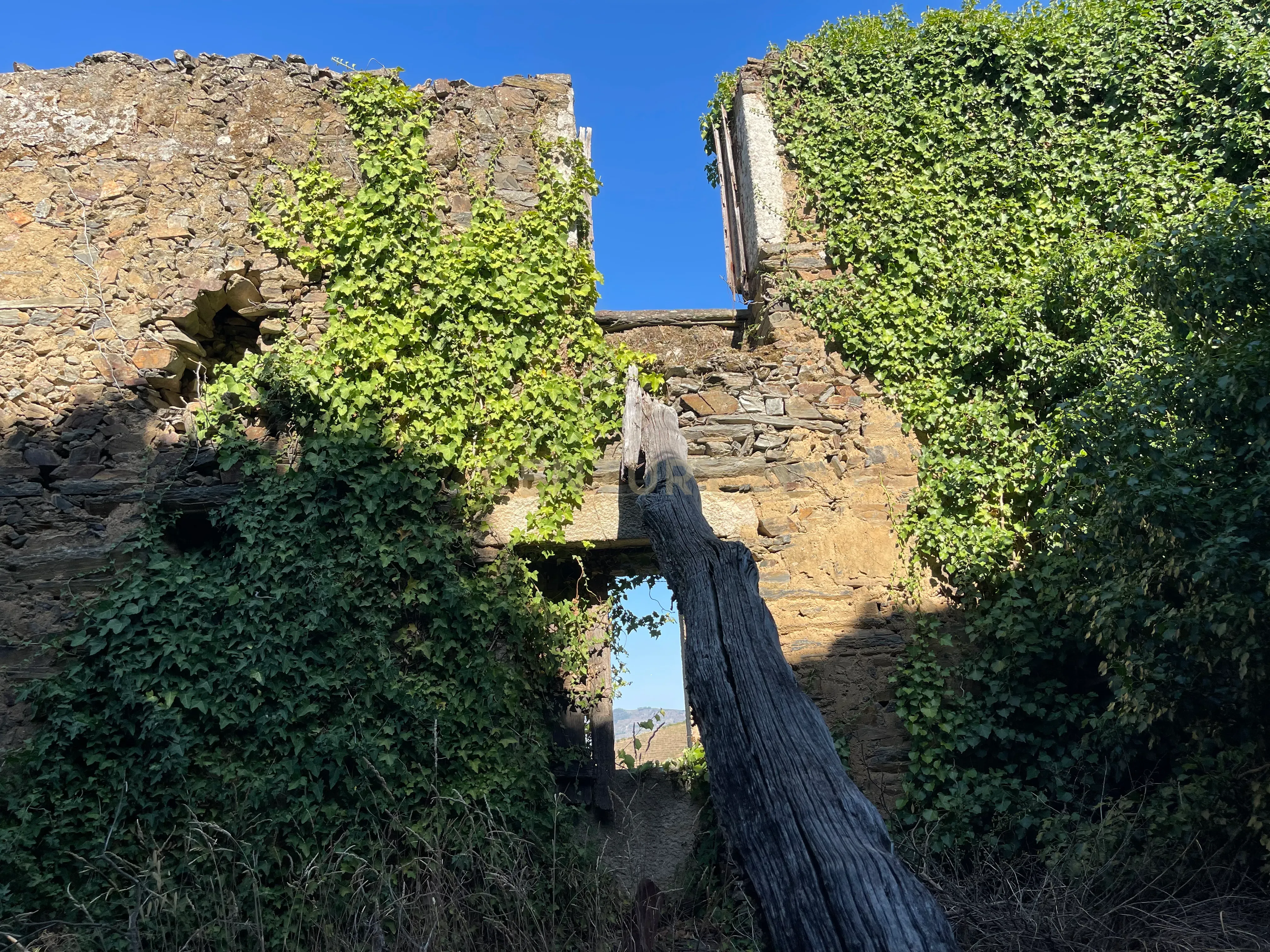 Terreno em Valdigem, com uma área total de 3.350m², oferece vistas panorâmicas sobre o Rio Douro. Tem licença para a construção de uma casa com seis quartos (T6), além de uma vasta área de terreno com vinhas antigas de categoria A. - Image 34