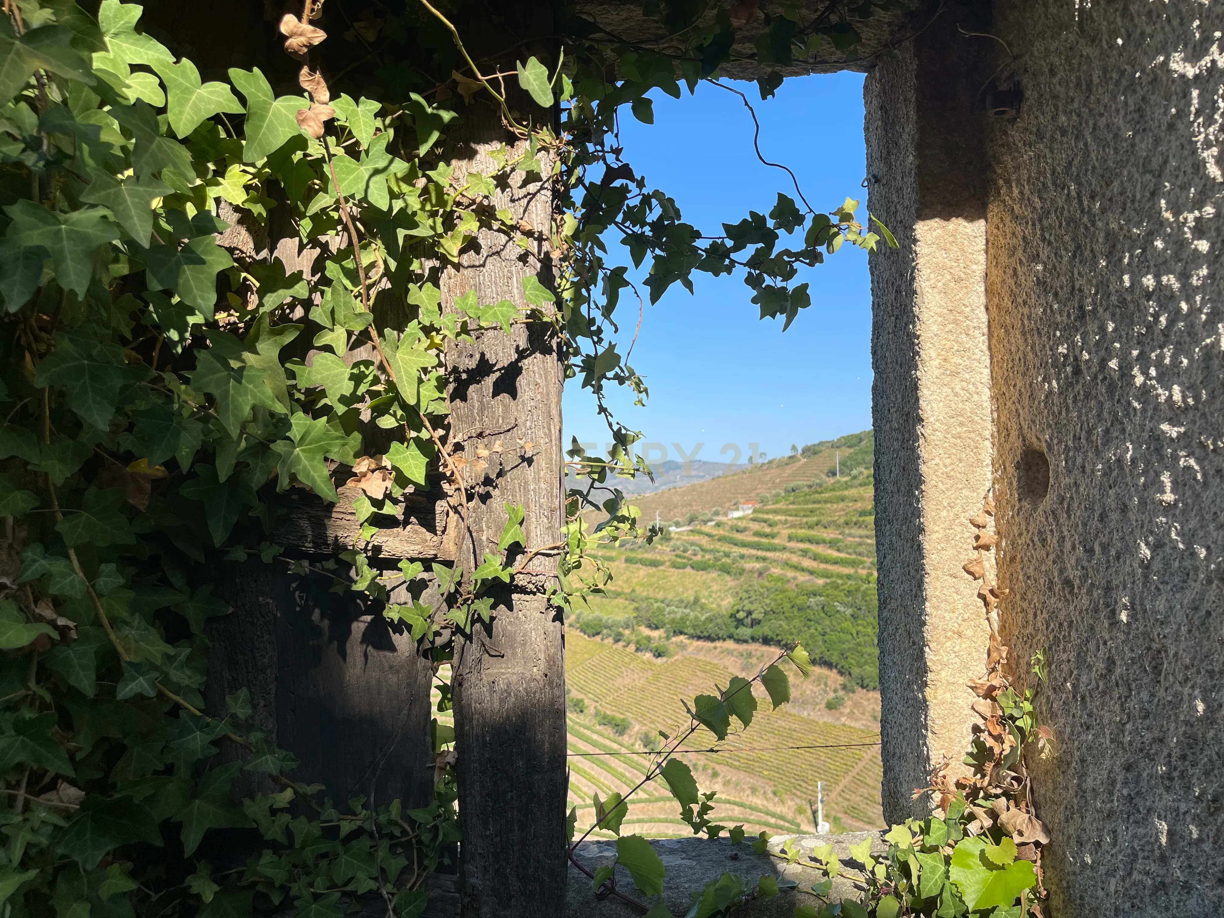 Terreno em Valdigem, com uma área total de 3.350m², oferece vistas panorâmicas sobre o Rio Douro. Tem licença para a construção de uma casa com seis quartos (T6), além de uma vasta área de terreno com vinhas antigas de categoria A. - Image 9