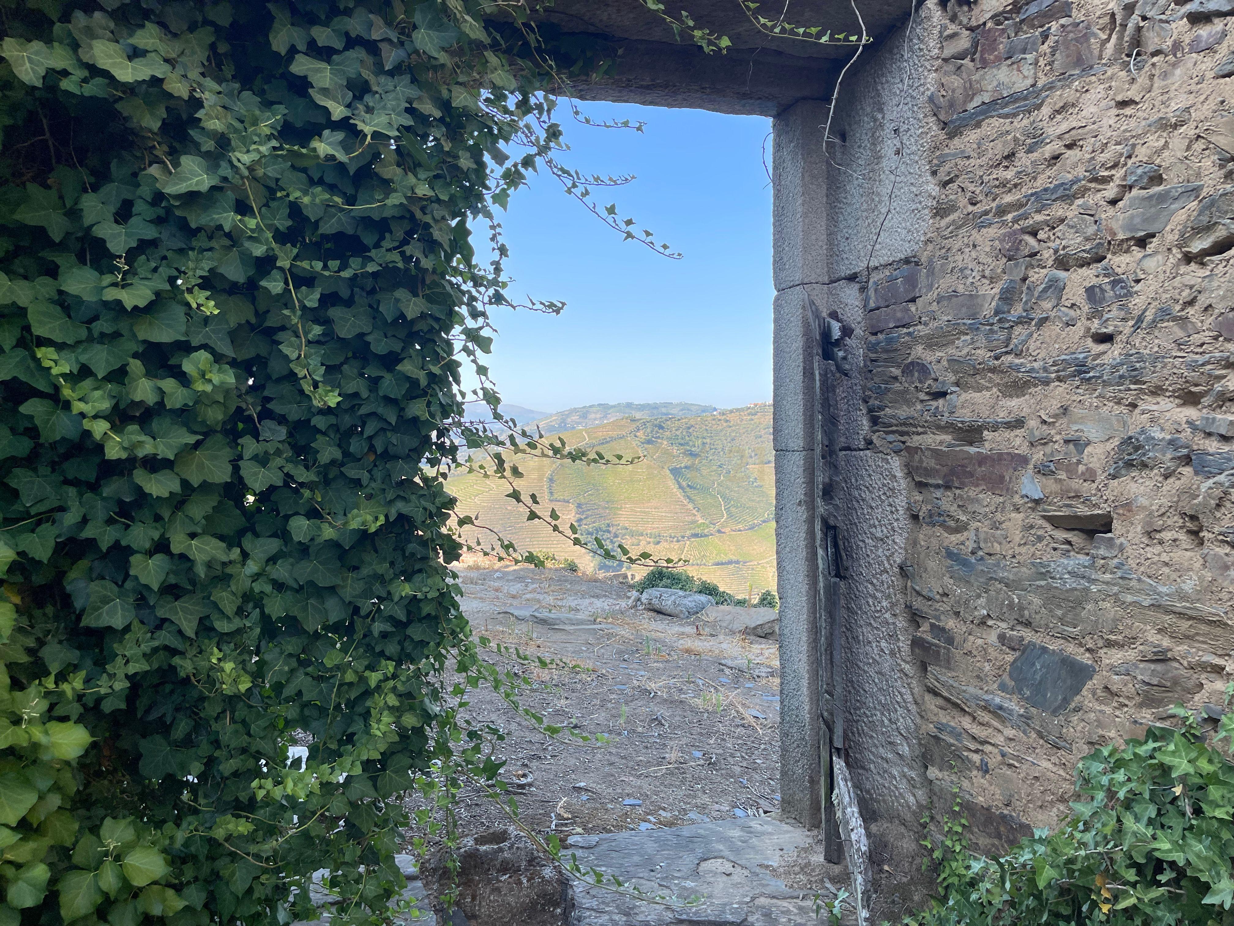 Terreno em Valdigem, com uma área total de 3.350m², oferece vistas panorâmicas sobre o Rio Douro. Tem licença para a construção de uma casa com seis quartos (T6), além de uma vasta área de terreno com vinhas antigas de categoria A. - Image 3