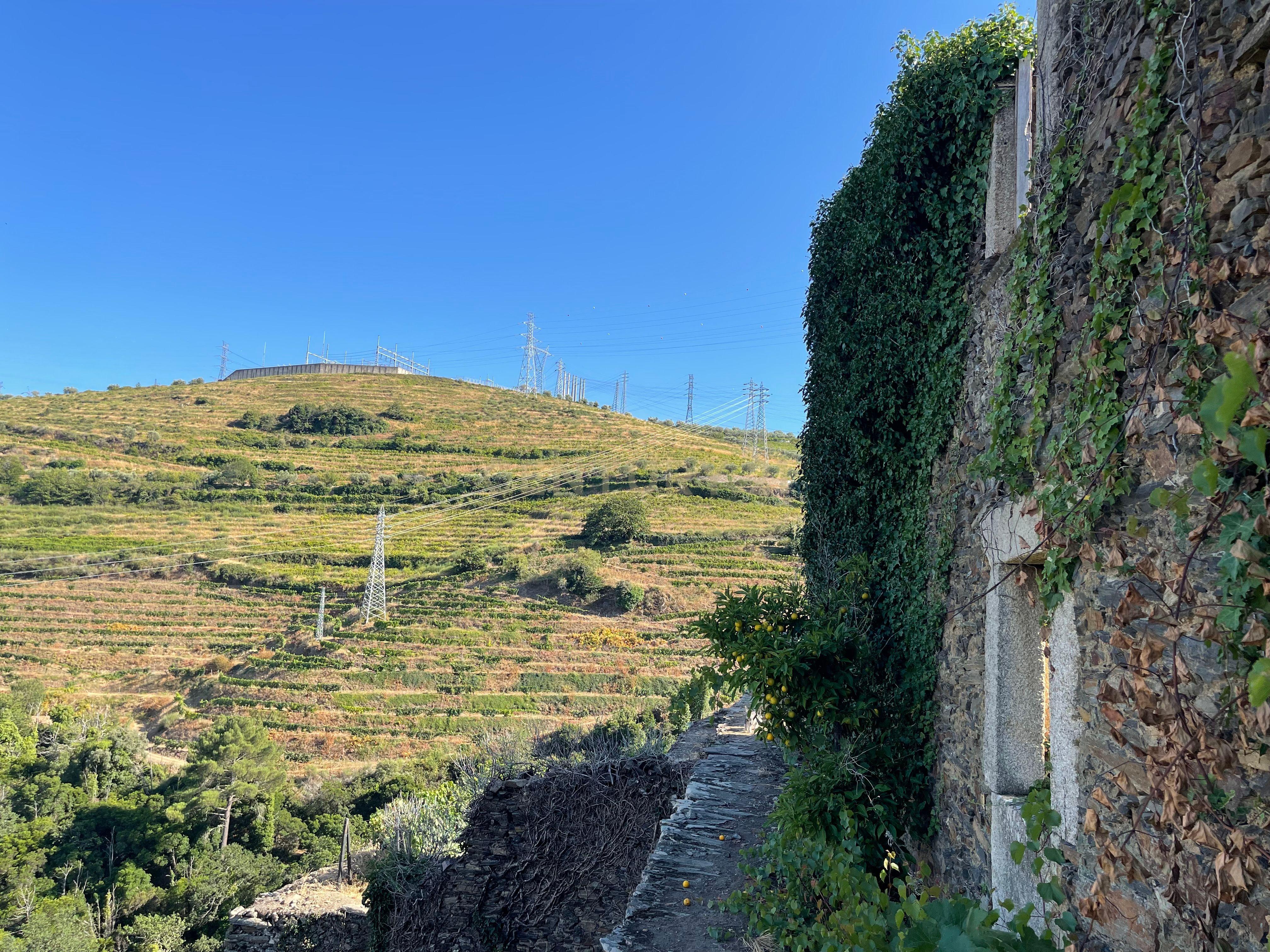Terreno em Valdigem, com uma área total de 3.350m², oferece vistas panorâmicas sobre o Rio Douro. Tem licença para a construção de uma casa com seis quartos (T6), além de uma vasta área de terreno com vinhas antigas de categoria A. - Image 8