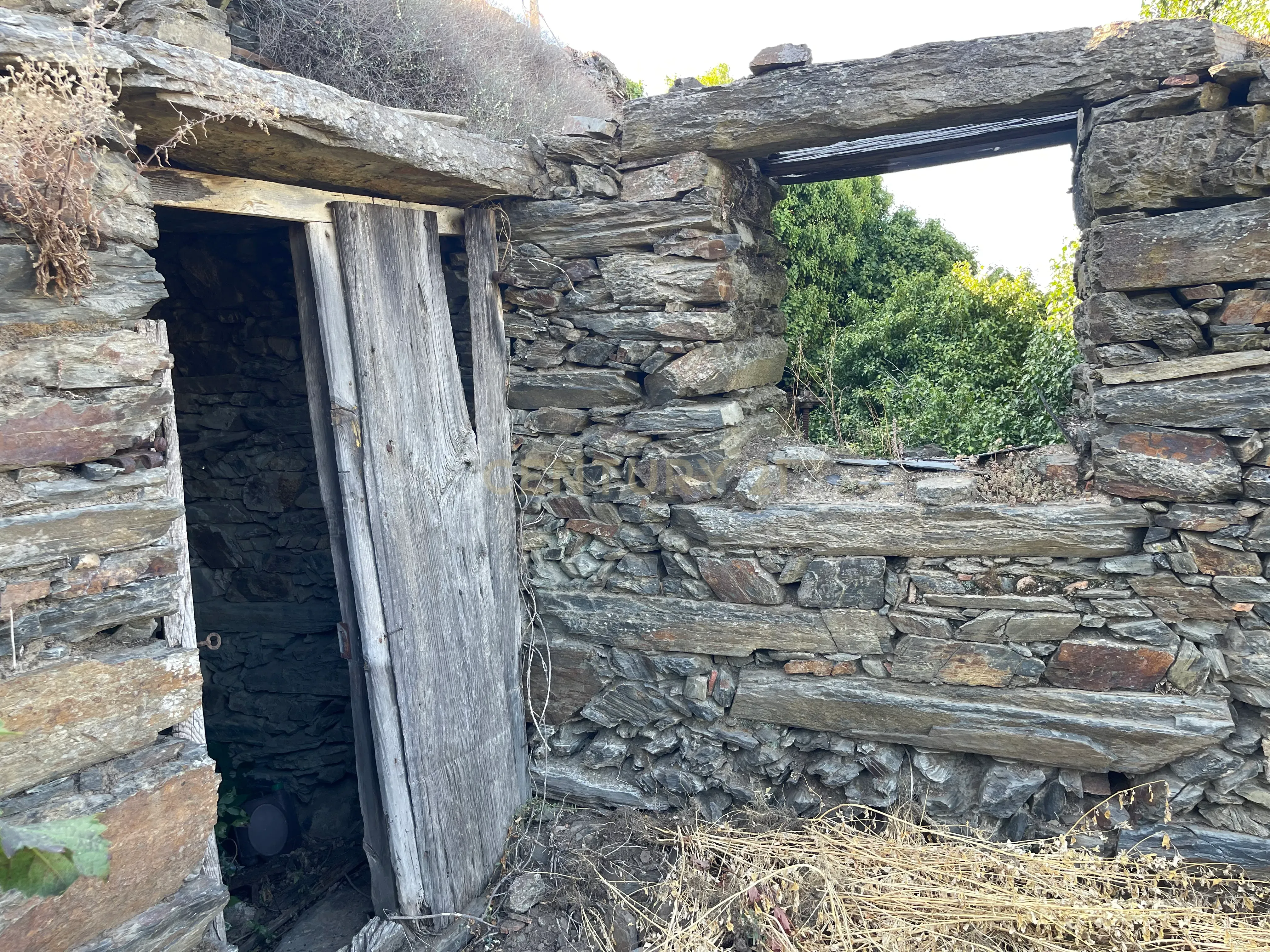Terreno em Valdigem, com uma área total de 3.350m², oferece vistas panorâmicas sobre o Rio Douro. Tem licença para a construção de uma casa com seis quartos (T6), além de uma vasta área de terreno com vinhas antigas de categoria A. - Image 12
