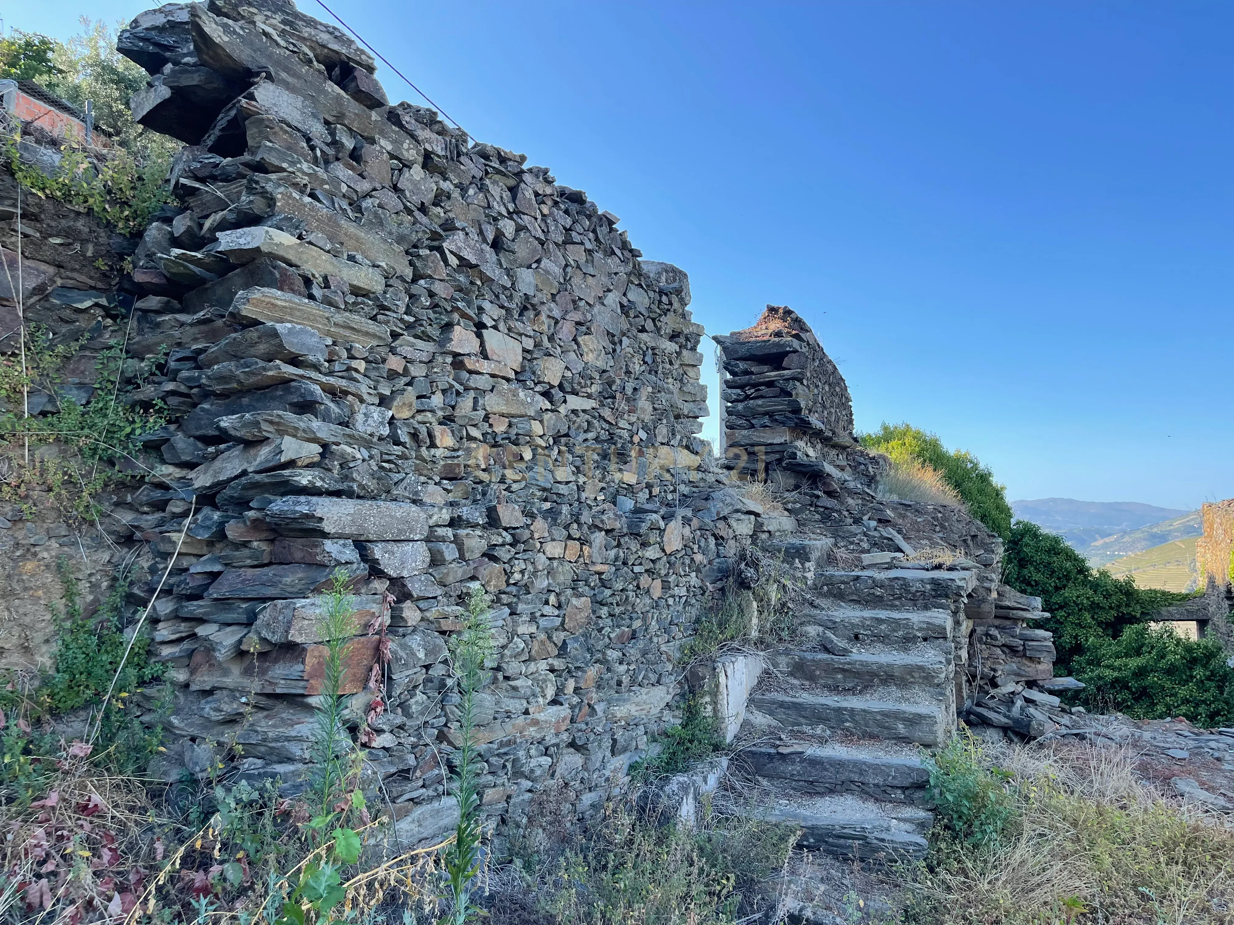 Terreno em Valdigem, com uma área total de 3.350m², oferece vistas panorâmicas sobre o Rio Douro. Tem licença para a construção de uma casa com seis quartos (T6), além de uma vasta área de terreno com vinhas antigas de categoria A. - Image 26
