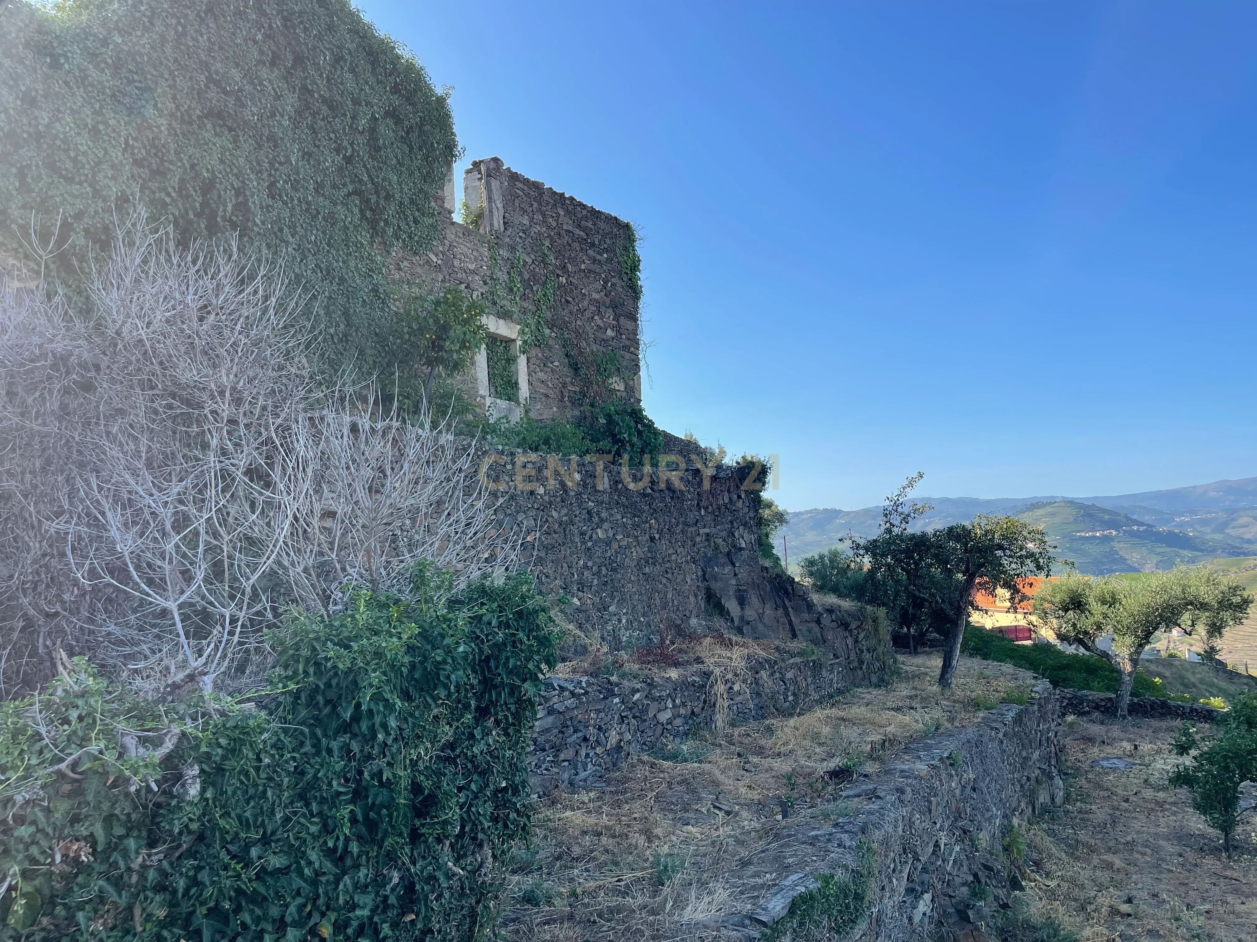 Terreno em Valdigem, com uma área total de 3.350m², oferece vistas panorâmicas sobre o Rio Douro. Tem licença para a construção de uma casa com seis quartos (T6), além de uma vasta área de terreno com vinhas antigas de categoria A. - Image 30
