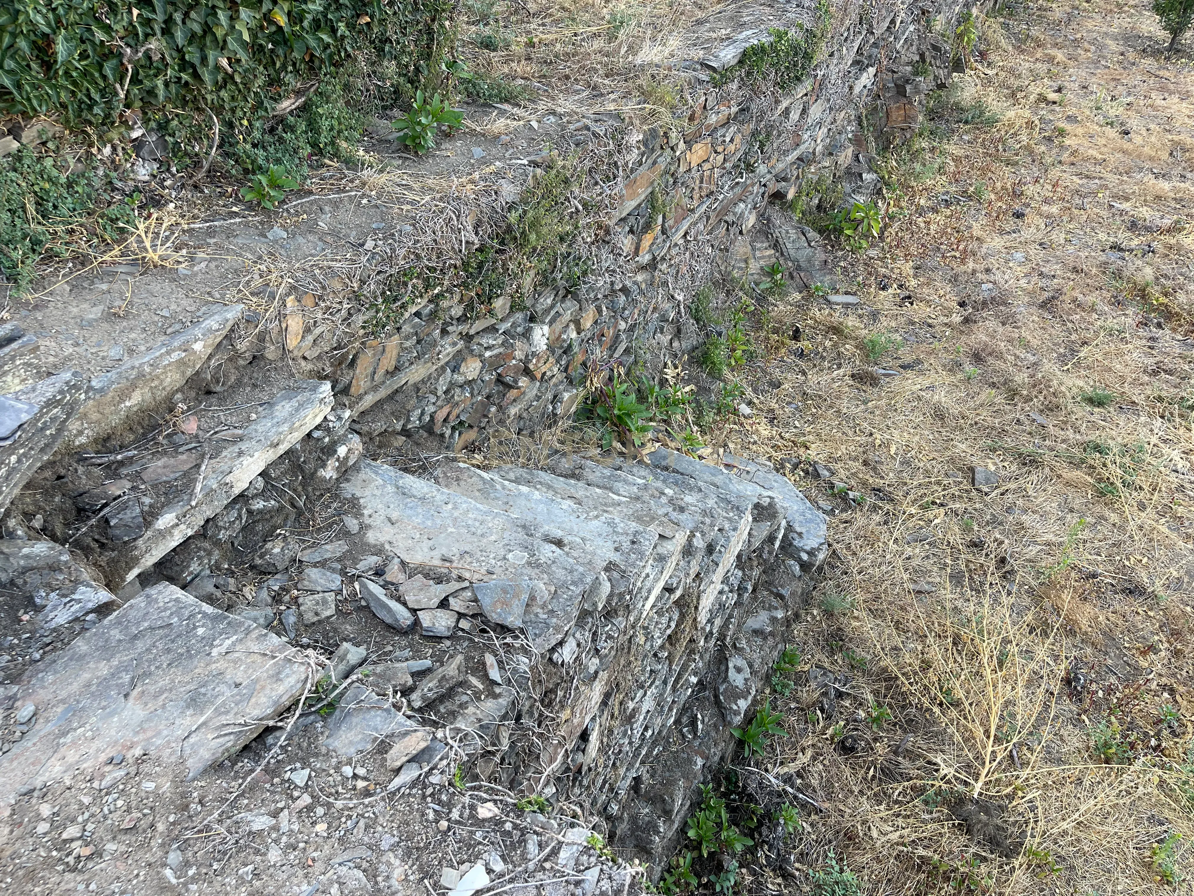 Terreno em Valdigem, com uma área total de 3.350m², oferece vistas panorâmicas sobre o Rio Douro. Tem licença para a construção de uma casa com seis quartos (T6), além de uma vasta área de terreno com vinhas antigas de categoria A. - Image 31