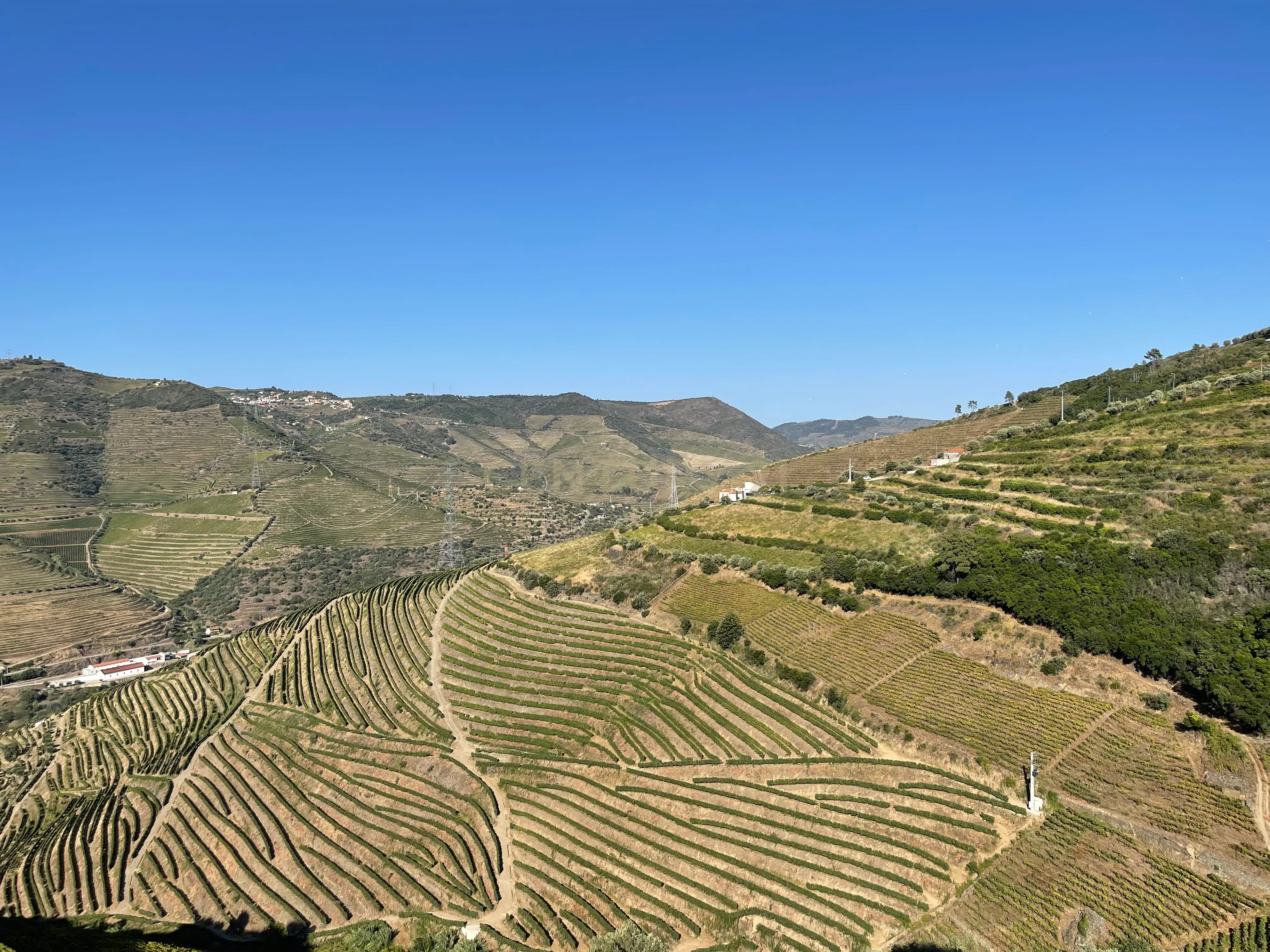 Terreno em Valdigem, com uma área total de 3.350m², oferece vistas panorâmicas sobre o Rio Douro. Tem licença para a construção de uma casa com seis quartos (T6), além de uma vasta área de terreno com vinhas antigas de categoria A. - Image 35