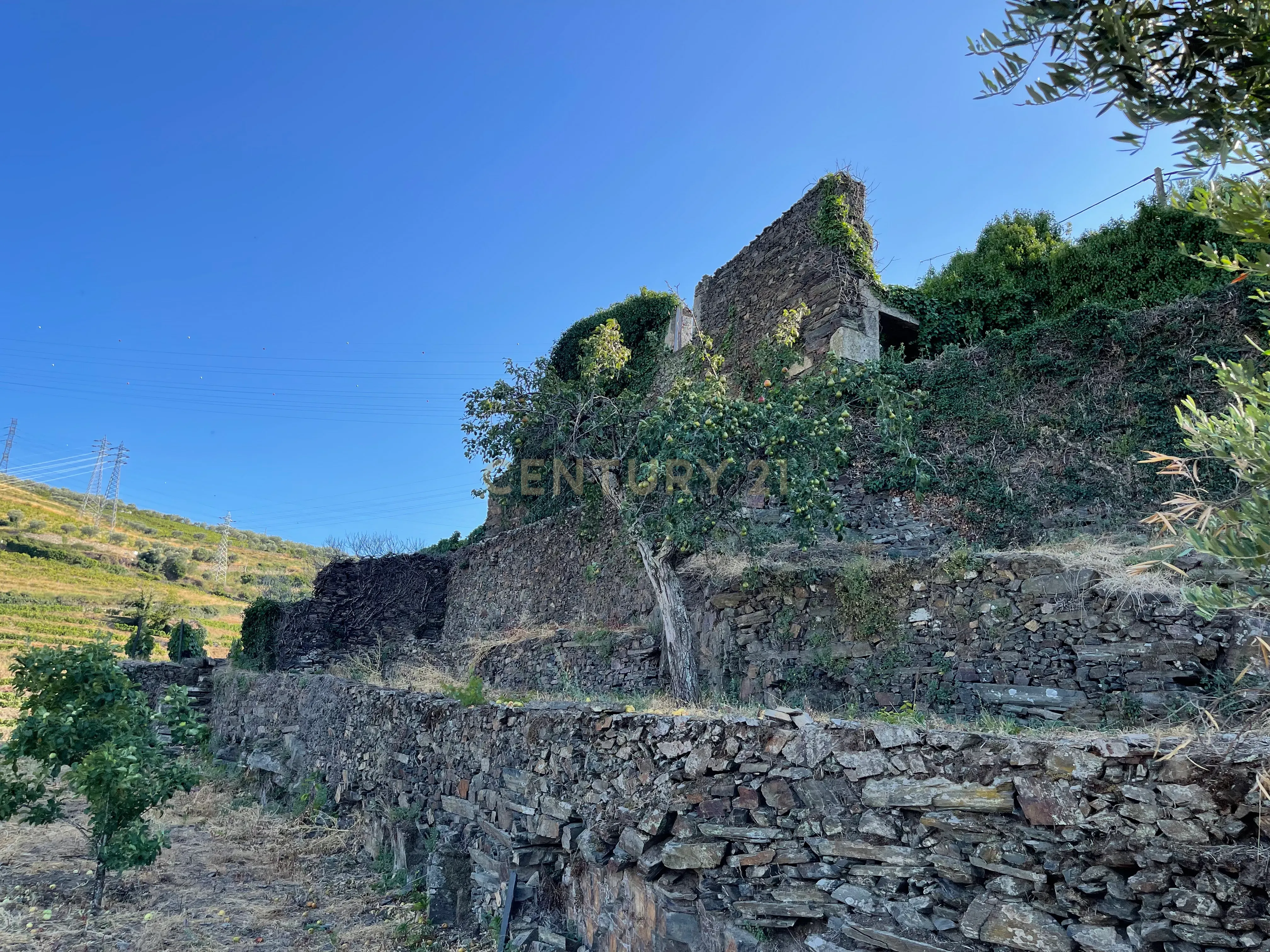 Terreno em Valdigem, com uma área total de 3.350m², oferece vistas panorâmicas sobre o Rio Douro. Tem licença para a construção de uma casa com seis quartos (T6), além de uma vasta área de terreno com vinhas antigas de categoria A. - Image 38