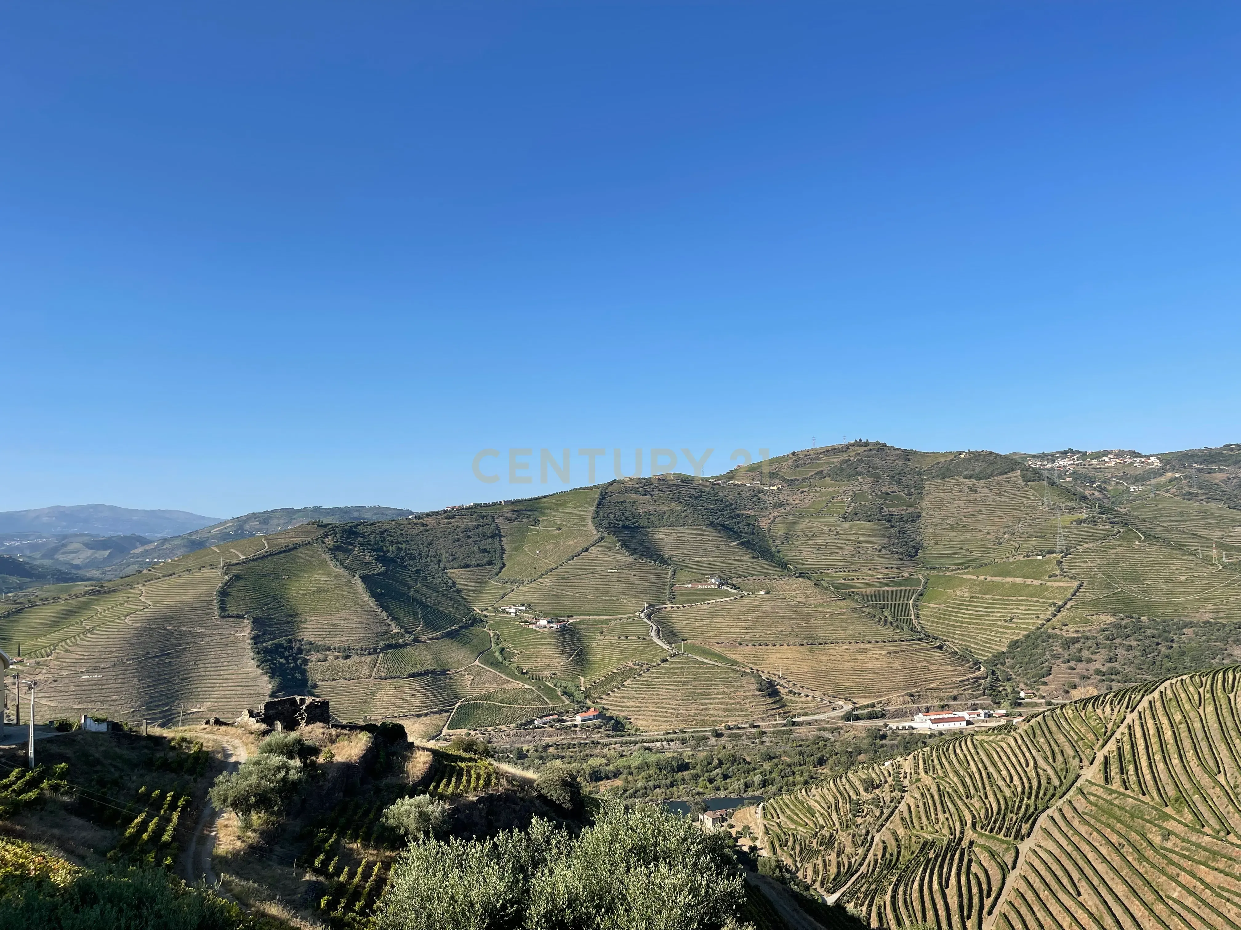 Terreno em Valdigem, com uma área total de 3.350m², oferece vistas panorâmicas sobre o Rio Douro. Tem licença para a construção de uma casa com seis quartos (T6), além de uma vasta área de terreno com vinhas antigas de categoria A. - Image 40