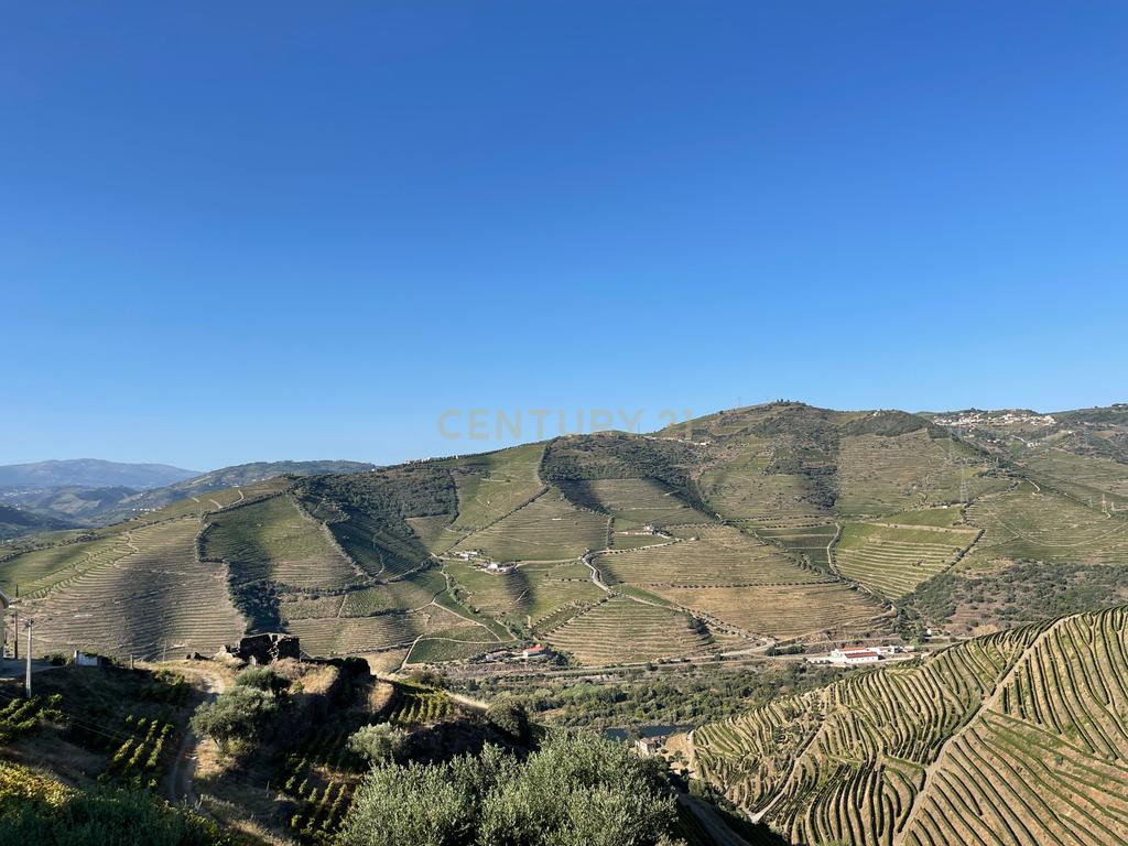 Terreno em Valdigem, com uma área total de 3.350m², oferece vistas panorâmicas sobre o Rio Douro. Tem licença para a construção de uma casa com seis quartos (T6), além de uma vasta área de terreno com vinhas antigas de categoria A. - Image 40