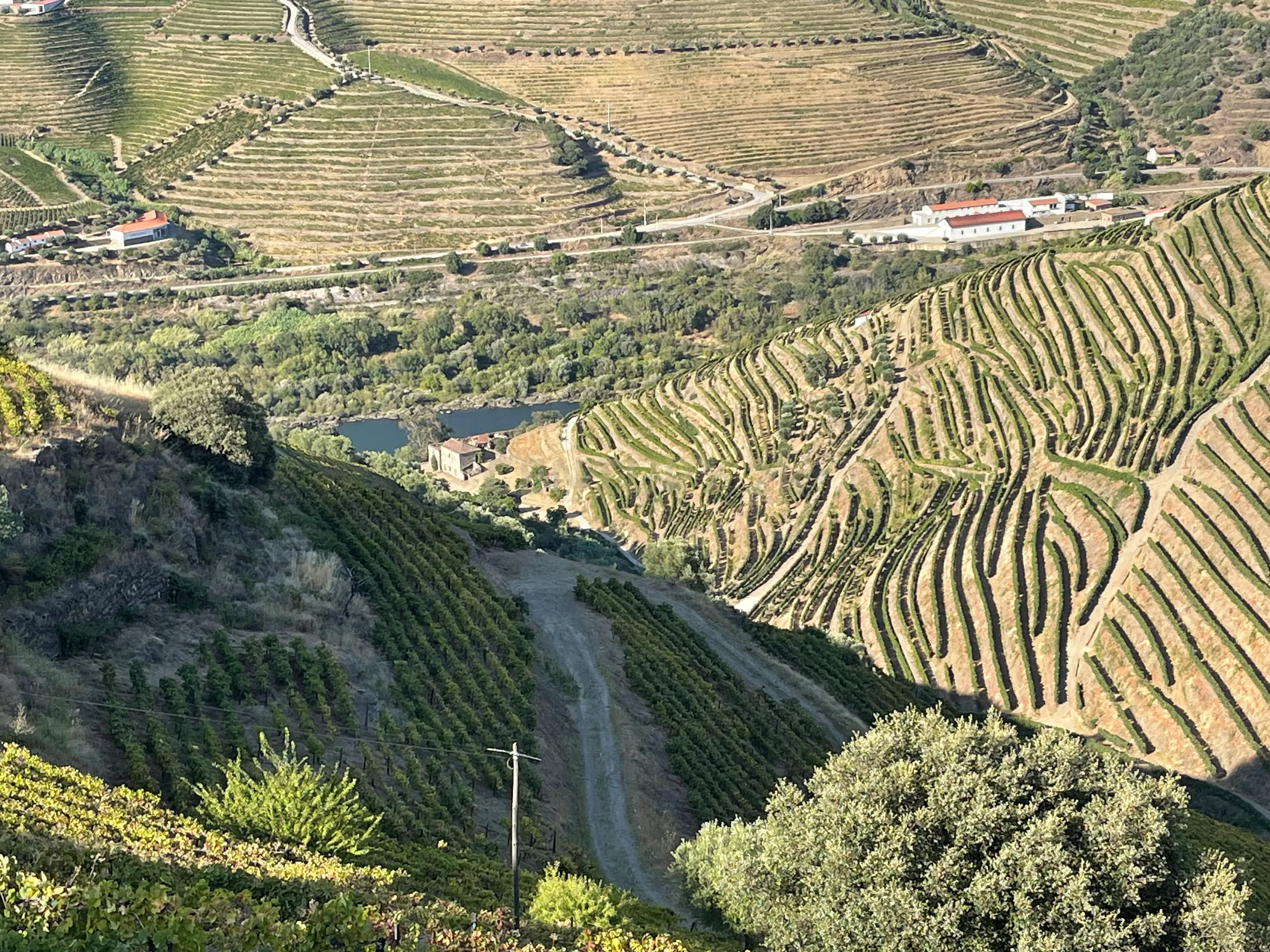 Terreno em Valdigem, com uma área total de 3.350m², oferece vistas panorâmicas sobre o Rio Douro. Tem licença para a construção de uma casa com seis quartos (T6), além de uma vasta área de terreno com vinhas antigas de categoria A. - Image 16