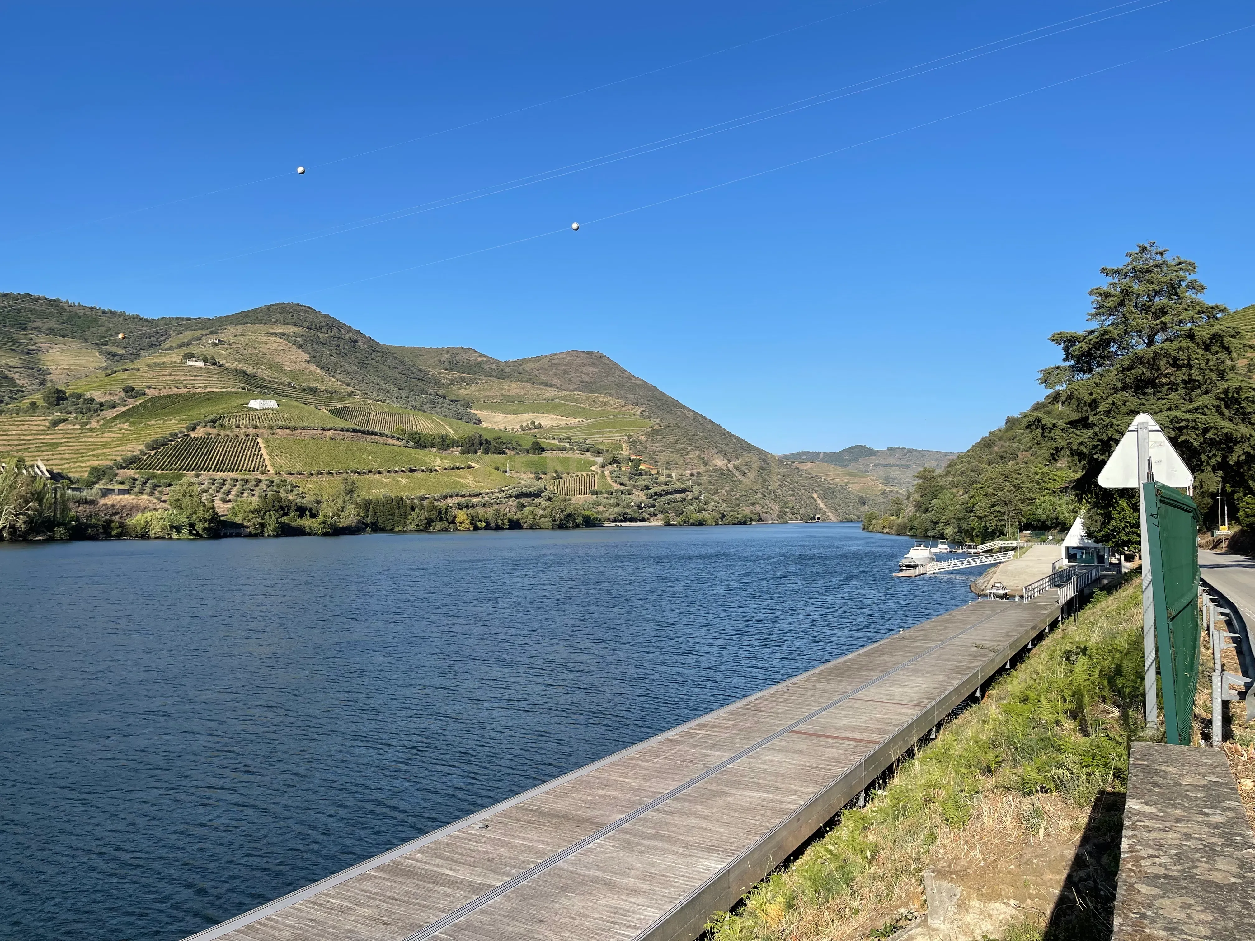 Terreno em Valdigem, com uma área total de 3.350m², oferece vistas panorâmicas sobre o Rio Douro. Tem licença para a construção de uma casa com seis quartos (T6), além de uma vasta área de terreno com vinhas antigas de categoria A. - Image 41