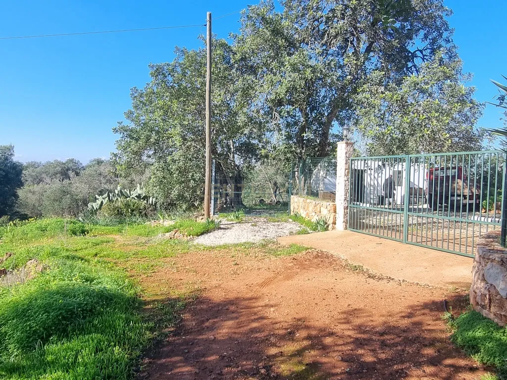 Terreno a 14min de Albufeira - Disponível - Image 3