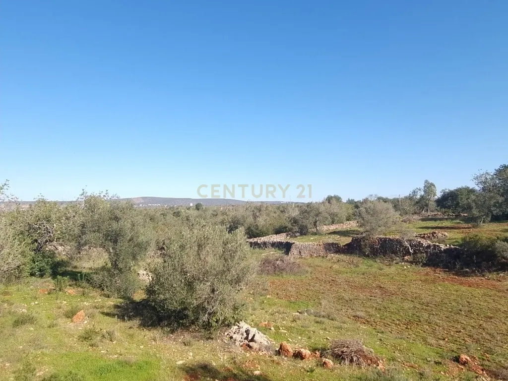 Terreno a 14min de Albufeira - Disponível - Image 7