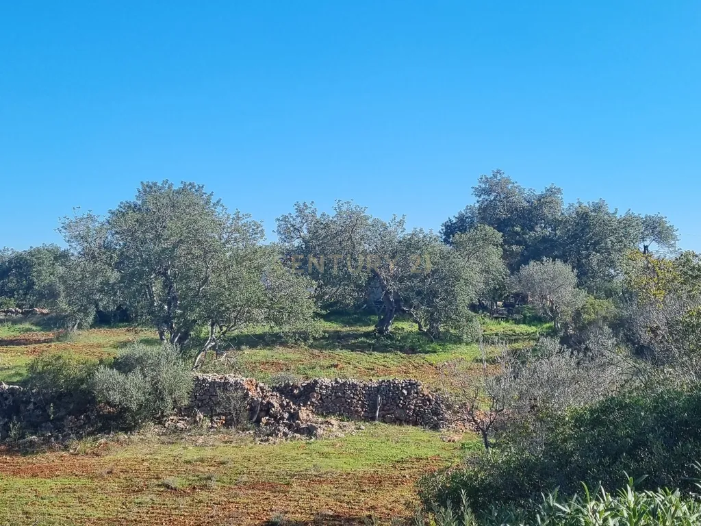 Terreno a 14min de Albufeira - Disponível - Image 6