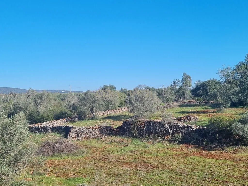 Terreno a 14min de Albufeira - Disponível - Image 4