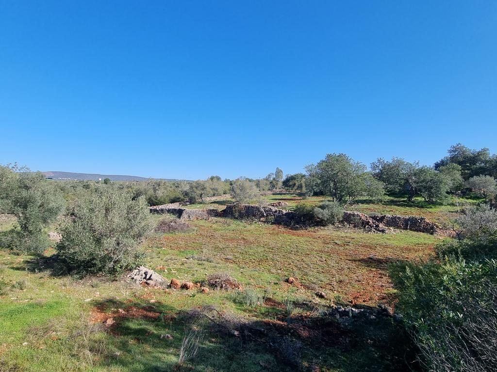 Terreno a 14min de Albufeira - Disponível - Image 5