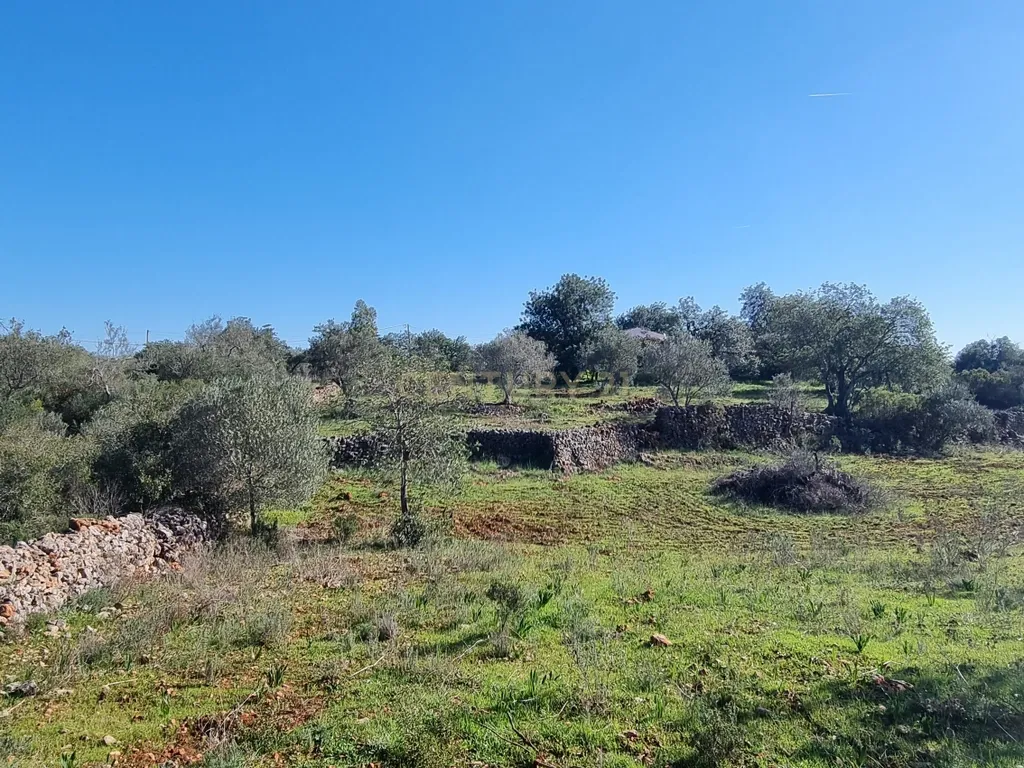 Terreno a 14min de Albufeira - Disponível - Image 2